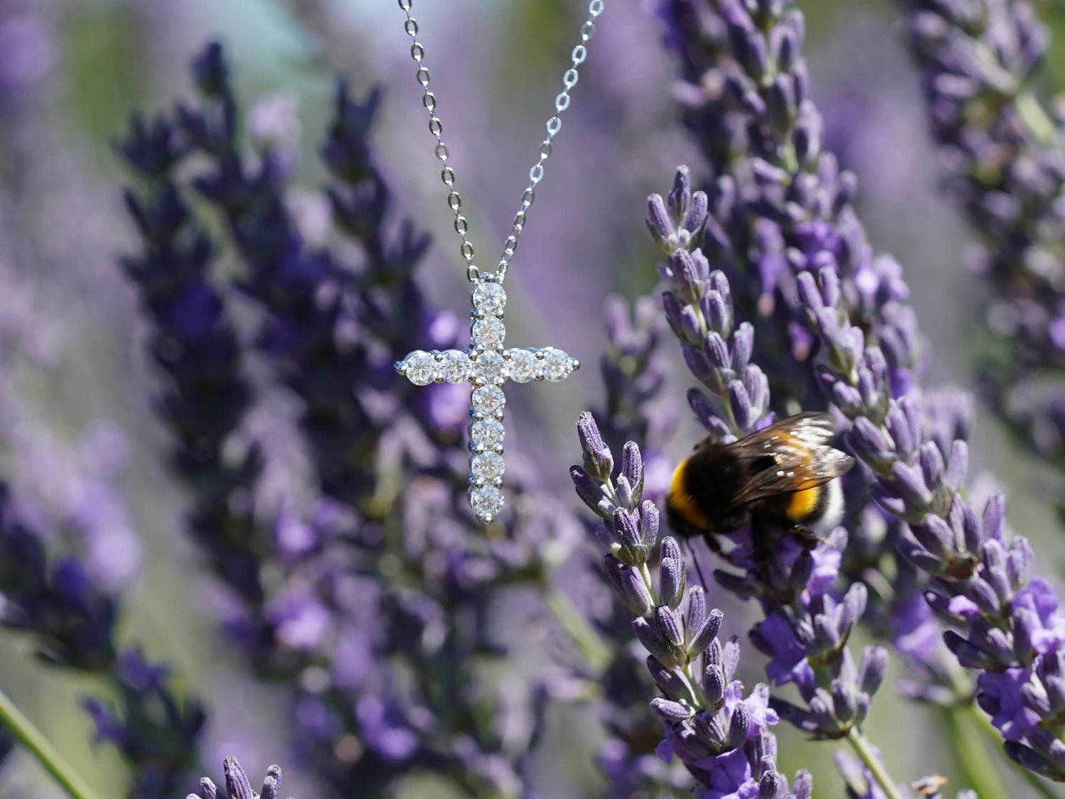 925 Sterling Silber Moissanit Kreuzanhänger vor Lavendel mit Hummel – christlicher Schmuck bei natürlichem Sonnenlicht