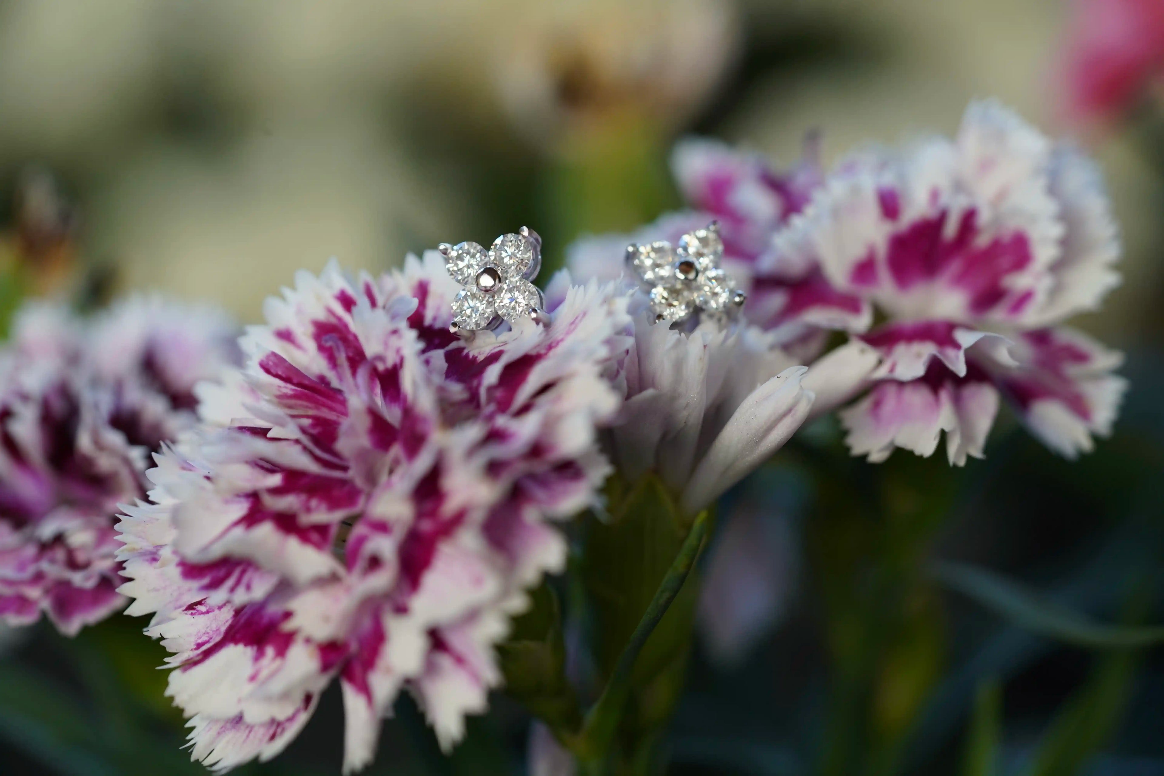 Funkelnde Moissanite Schmuck Ohrstecker mit Butterfly Versschluss 