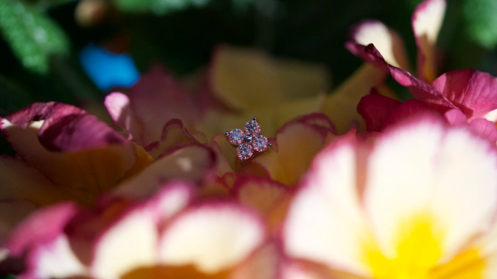 Im schatten klar funkelnde Moissanite Ohrstecker mit 4 Moissanite steinen, das perfekte geschenkt für Damen