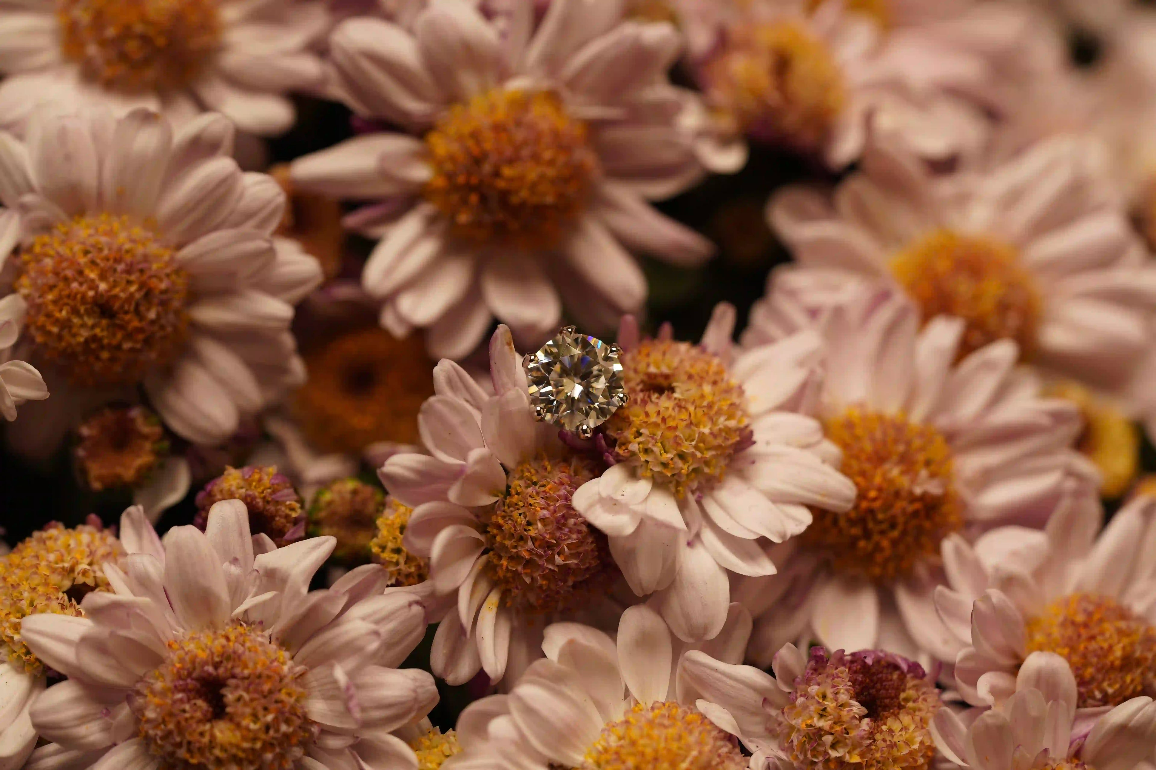 Luxuriöse Moissanite Ohrringe mit Schraubverschluss – 6-Halter Fassung im Brillantschliff, funkelnder Moissanite Schmuck aus Sterling Silber für Damen.