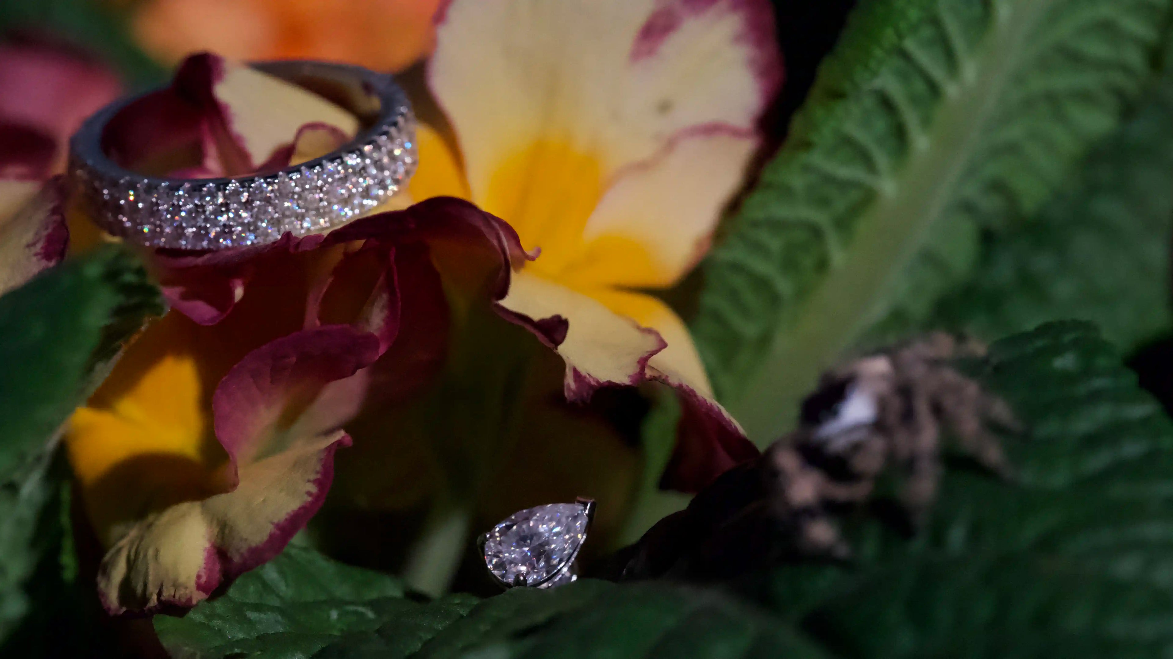 Spring Spinne neben Moissnaite Ohrsteck im Tropfen oder Birnen Schliff 