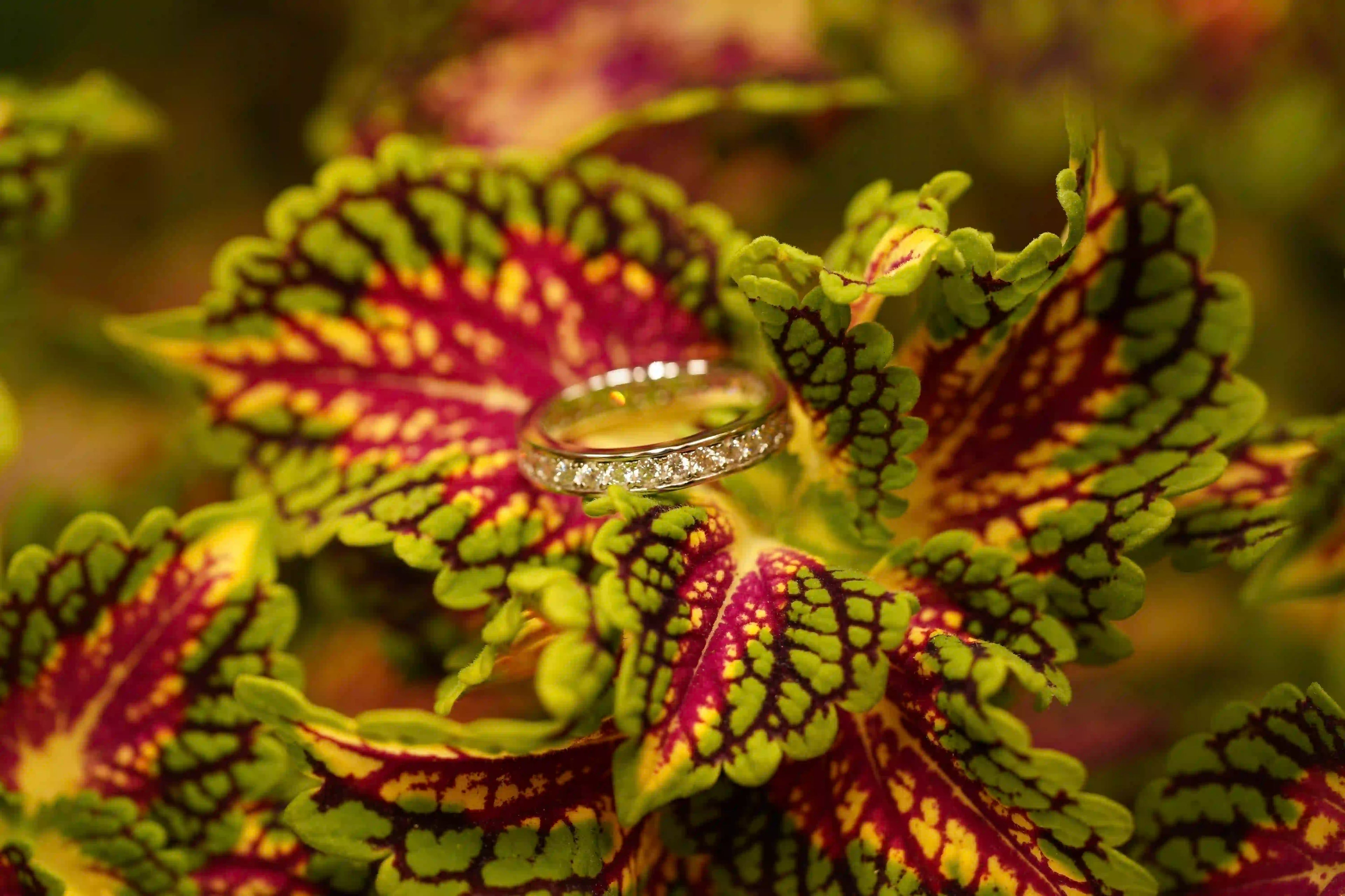 Moissanite Verlobungsring Ewigkeitsband mit feinen Moissanite Steinen und einem Rand drum herum
