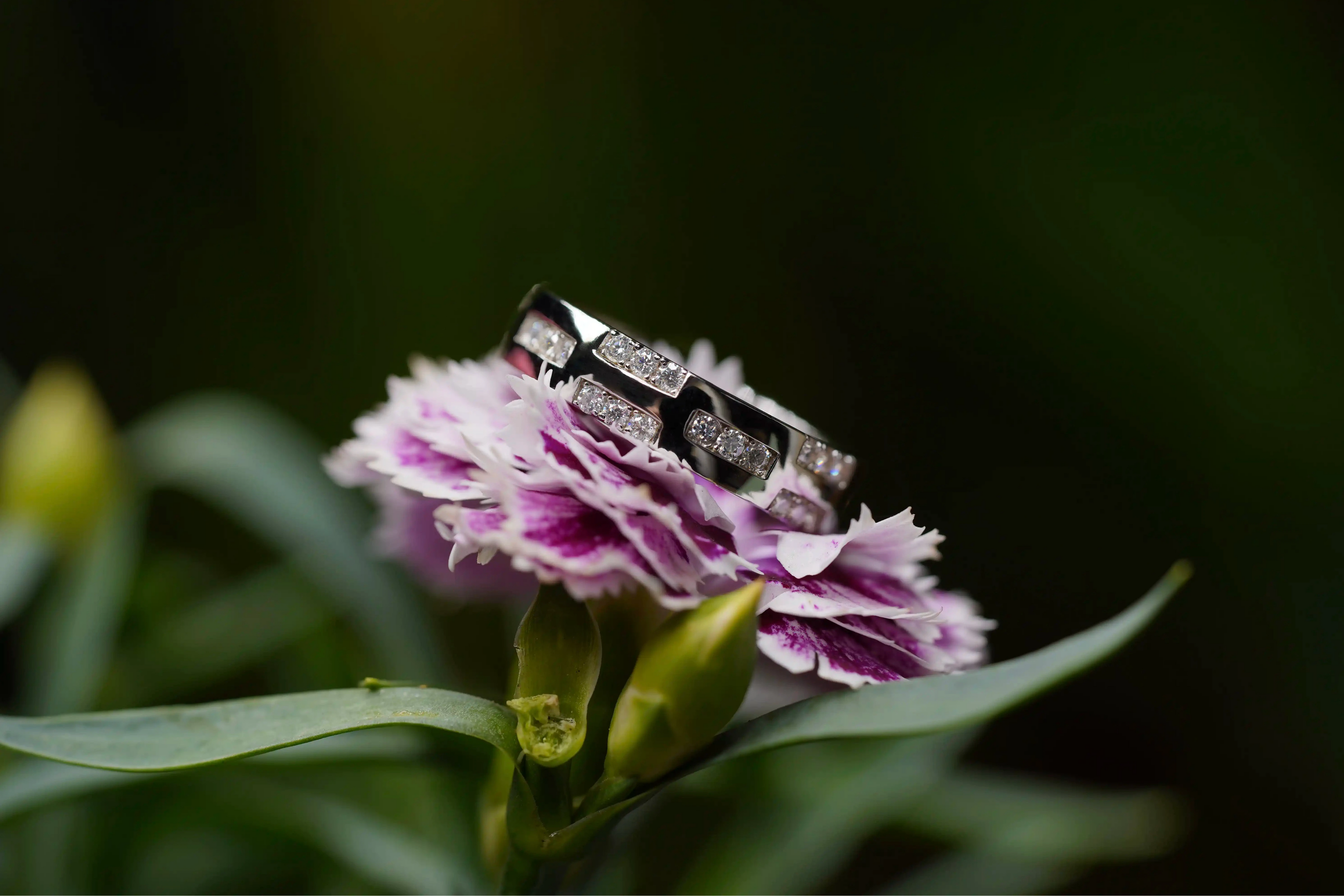 Moissanite Schmuck Ring aus Sterling Silber mit kleinen Moissaniten rund herum