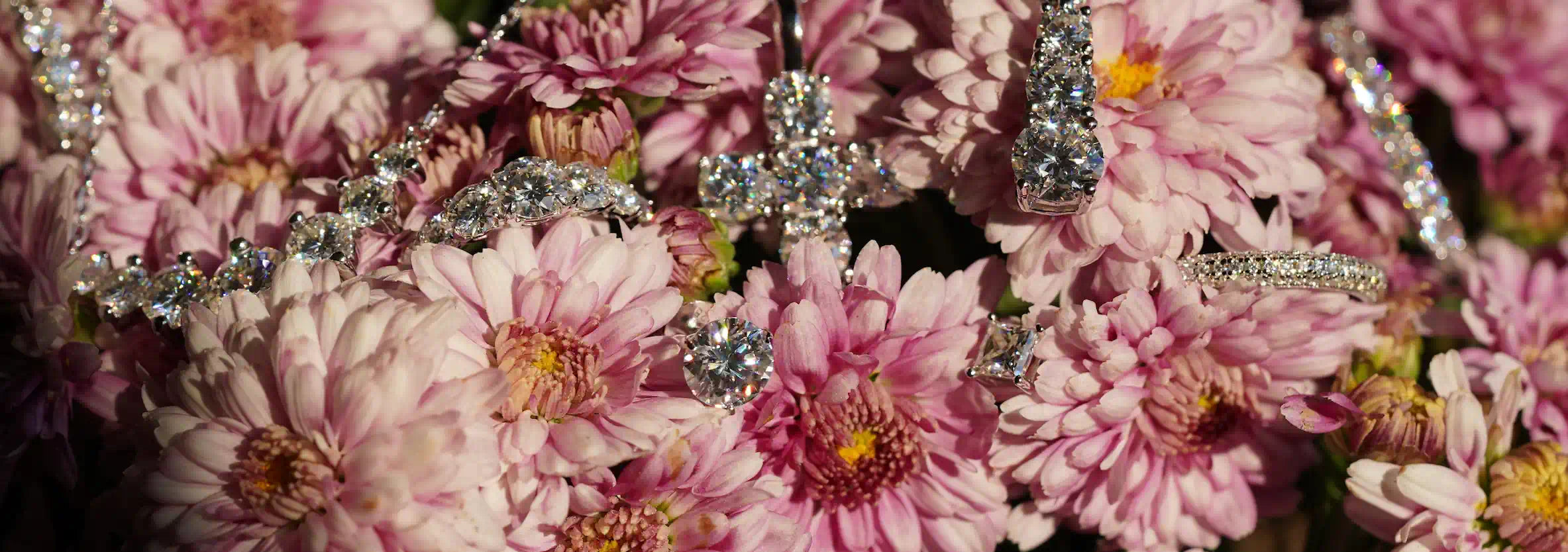 Moissanite Schmuck funkelnd im Sonnenlicht auf einer Blume bei Moissanite Mode