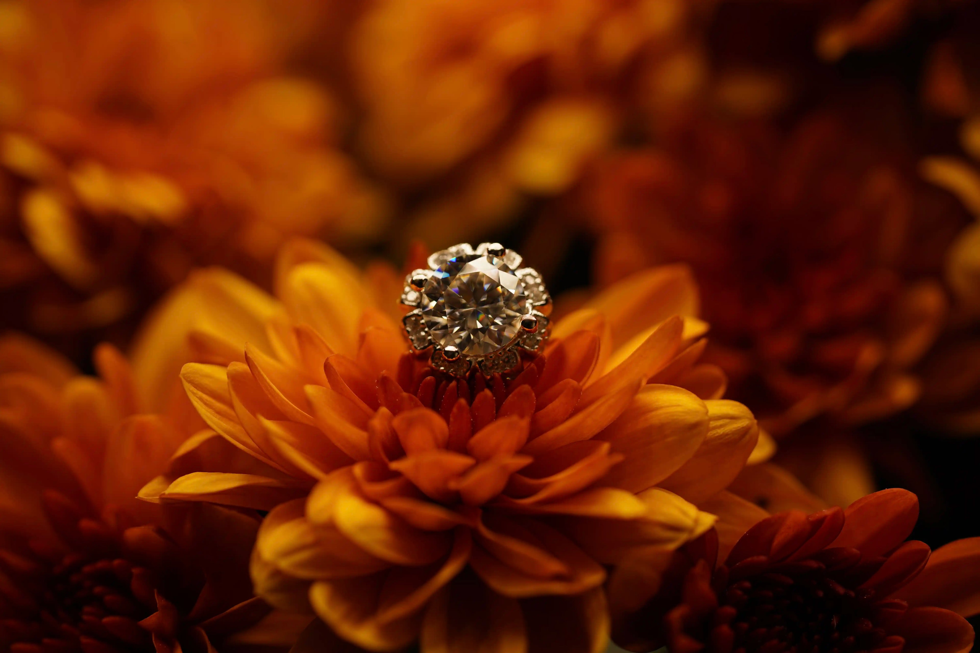 Moissanite Schmuck Ohrstecker im Blüten Design mit grossen Moissanite Schmuck Stein in der Mitte gefasst in 925 Silber