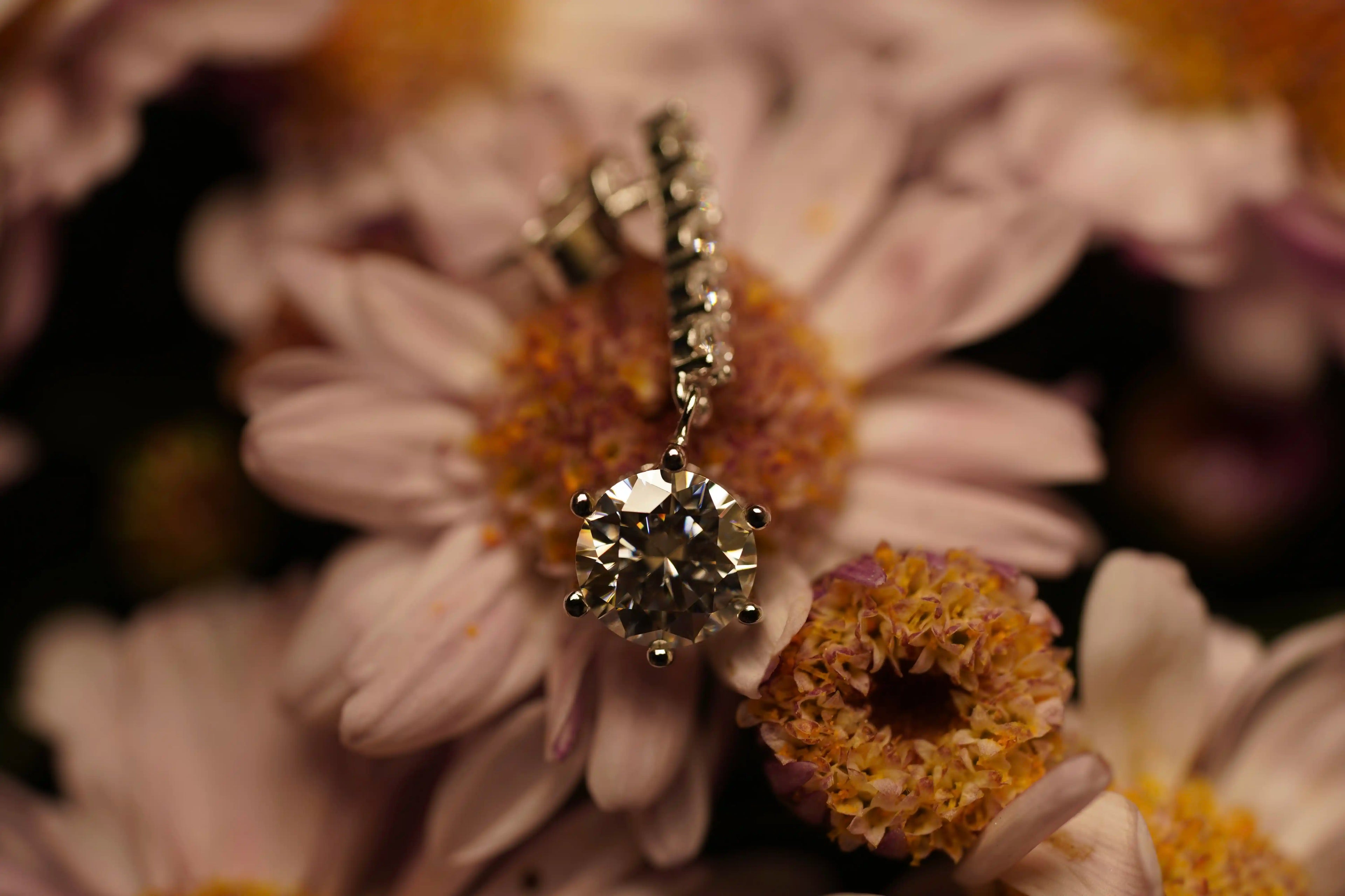 Moissanite Schmuck Ohrstecker mit Moissanite Schmuck Steinen im Brillant Schliff für Damen und Herren