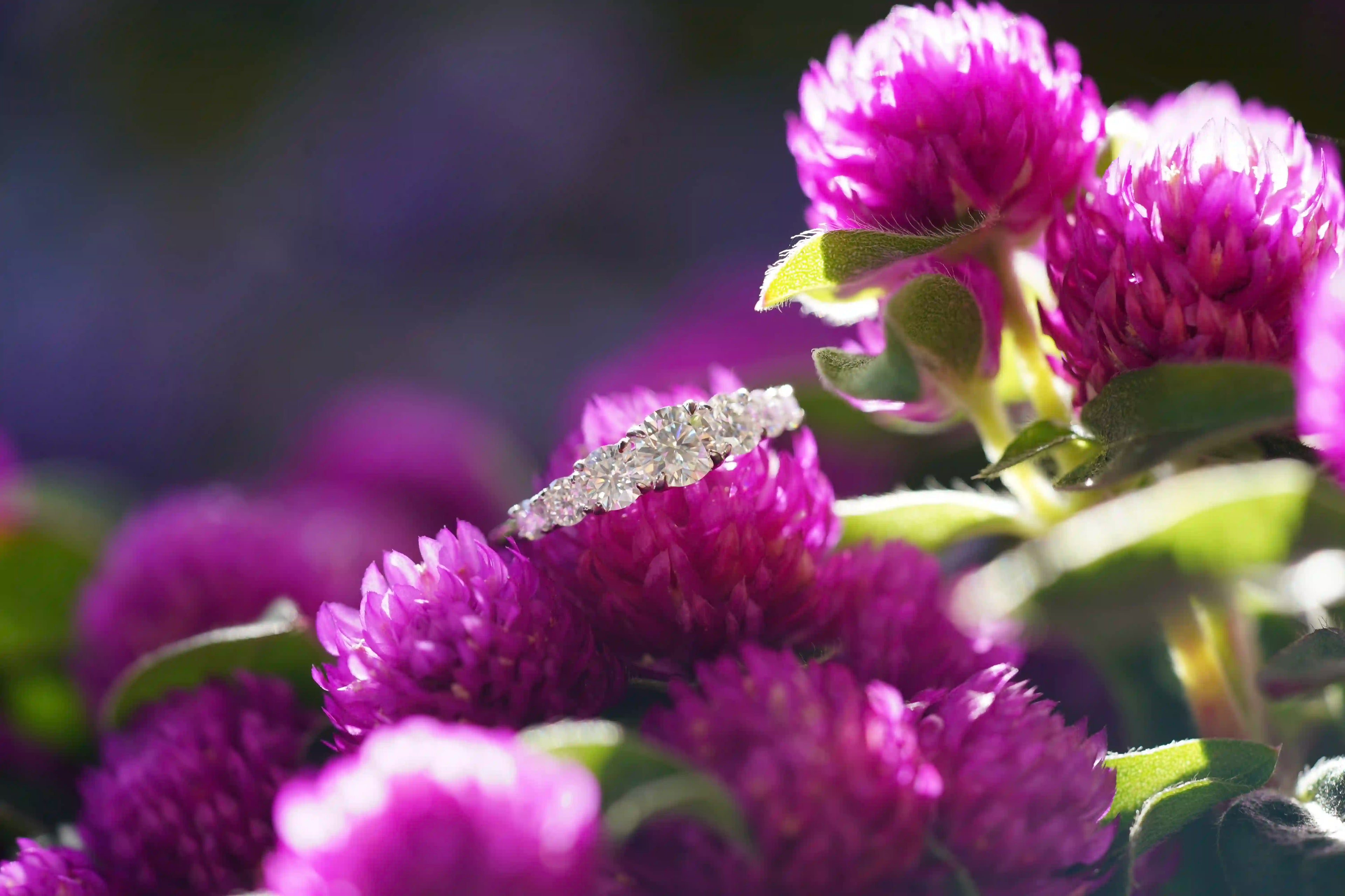 Moissanite Schmuck Ring aus Silber perfekt als Geschenk für besondere Anlässe 