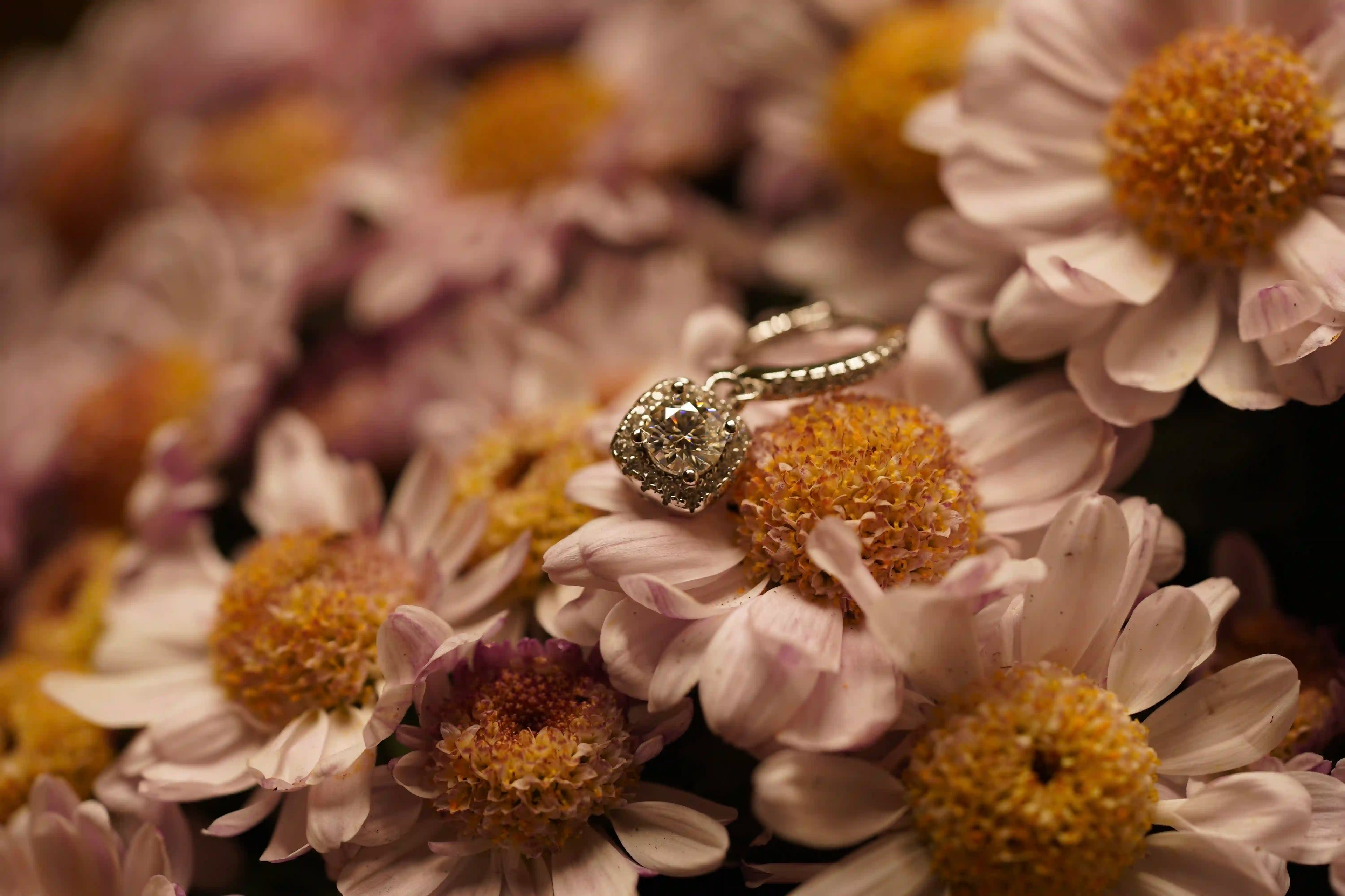 Moissanite Schmuck für Damen im Halo design mit Moissanite Schmuck Steinen gefasst in 925 Sterling Silber