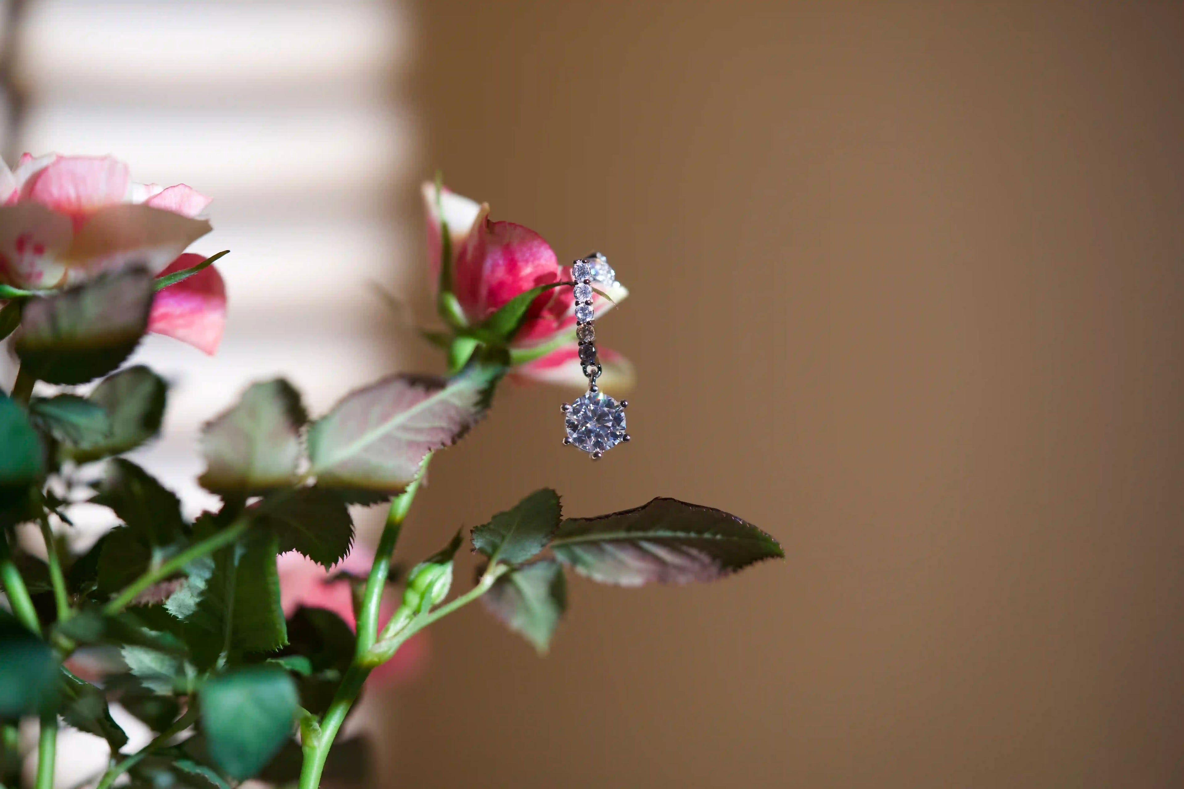 Auffällig in der Sonne hängende Moissanite Ohrringe mit beweglichem 1ct Moissanite Stein 