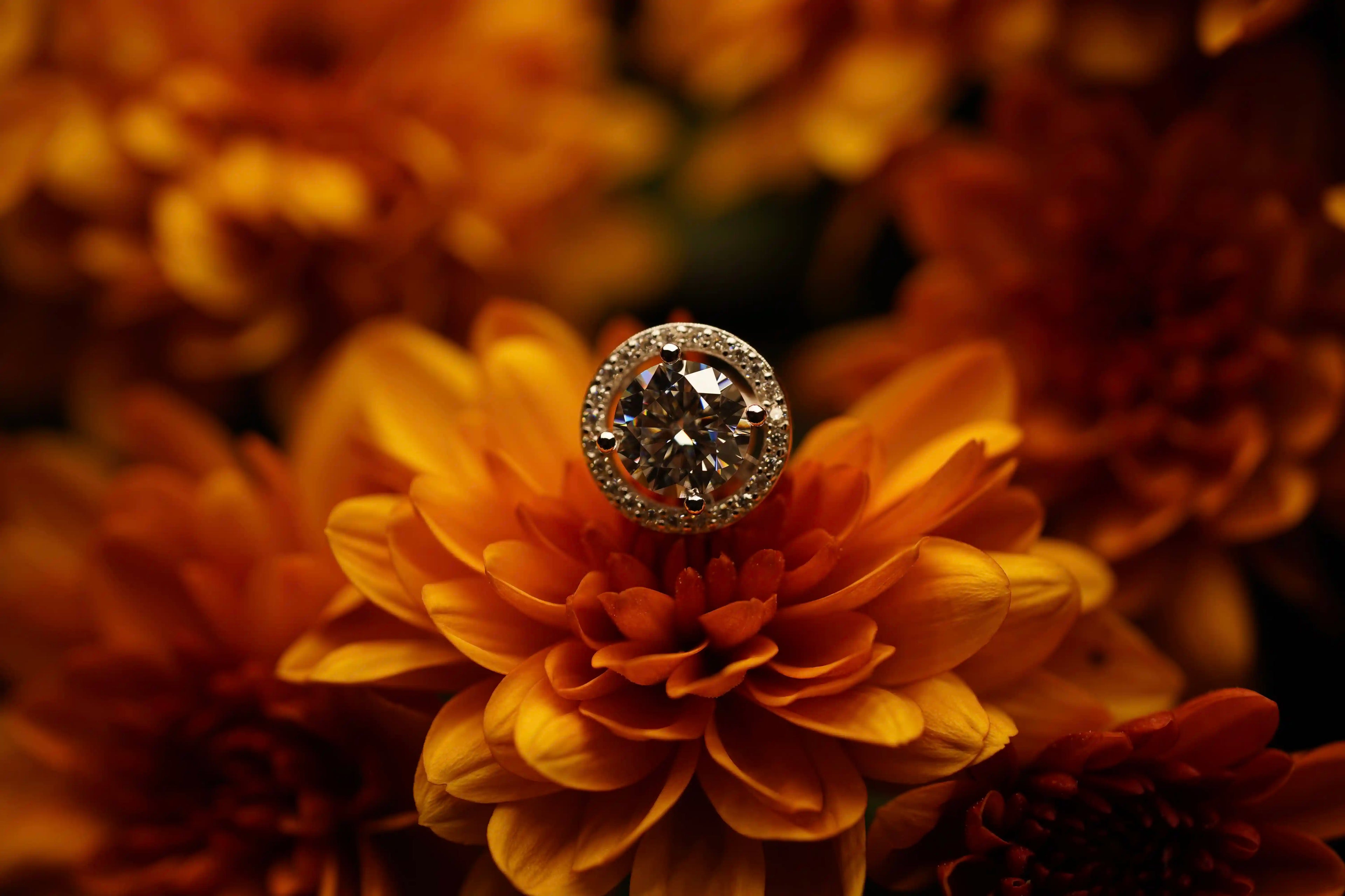 Schmuck Ohrringe mit Moissanite Steinen für Damen und Herren aus Sterling Silber mit Weißgold Veredelung