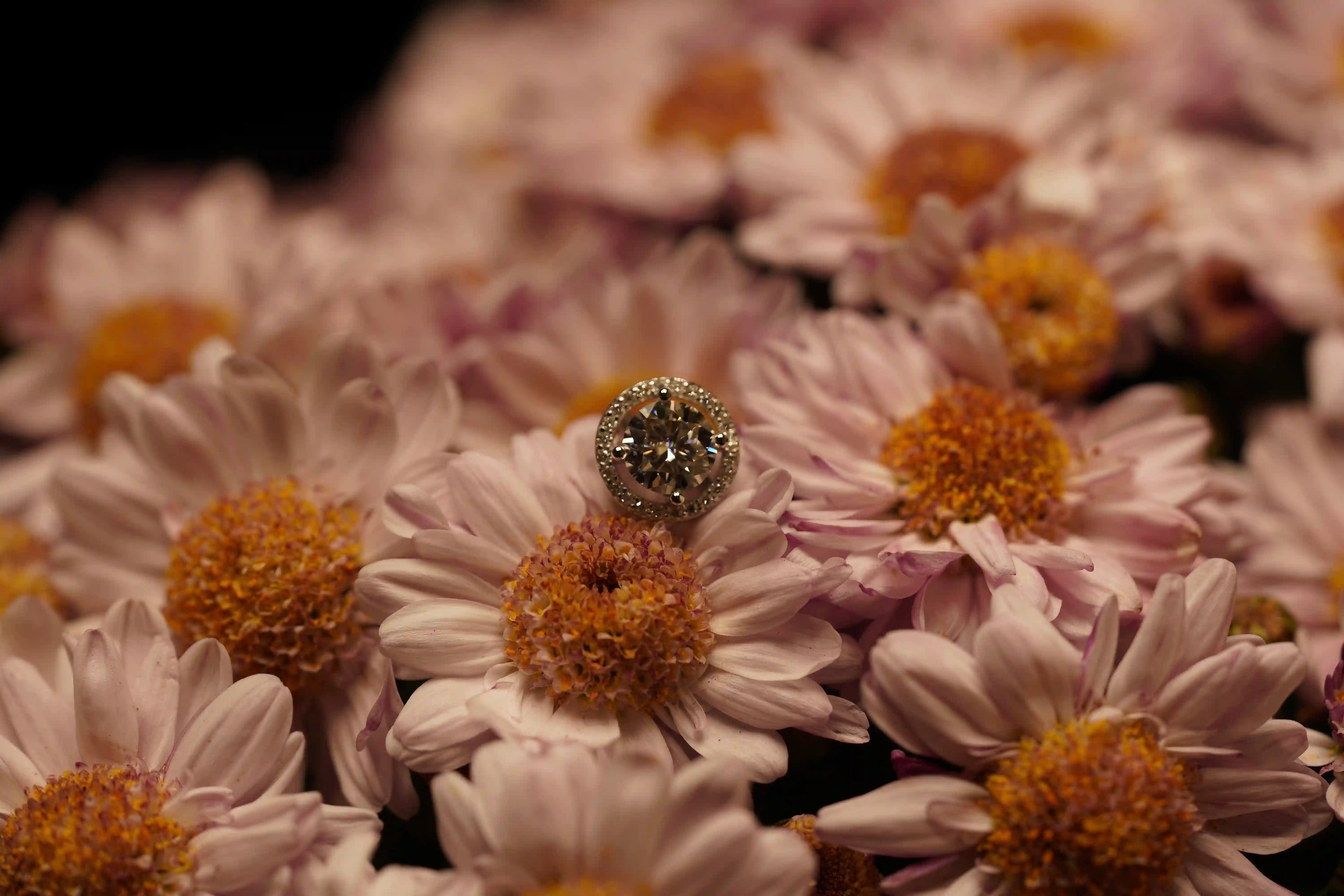 Moissanite Schmuck Ohrstecker mit grossem Brillant Moissanite und kleinen Schmuck Steinen rund herum im Halo