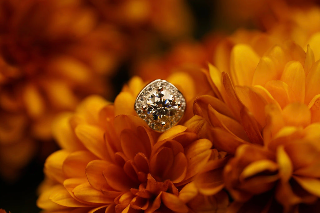 Moissanite Schmuck Ohrringe im Halo design mit Moissanite Stein in der Mitte und Zirkon Steinen drum herum
