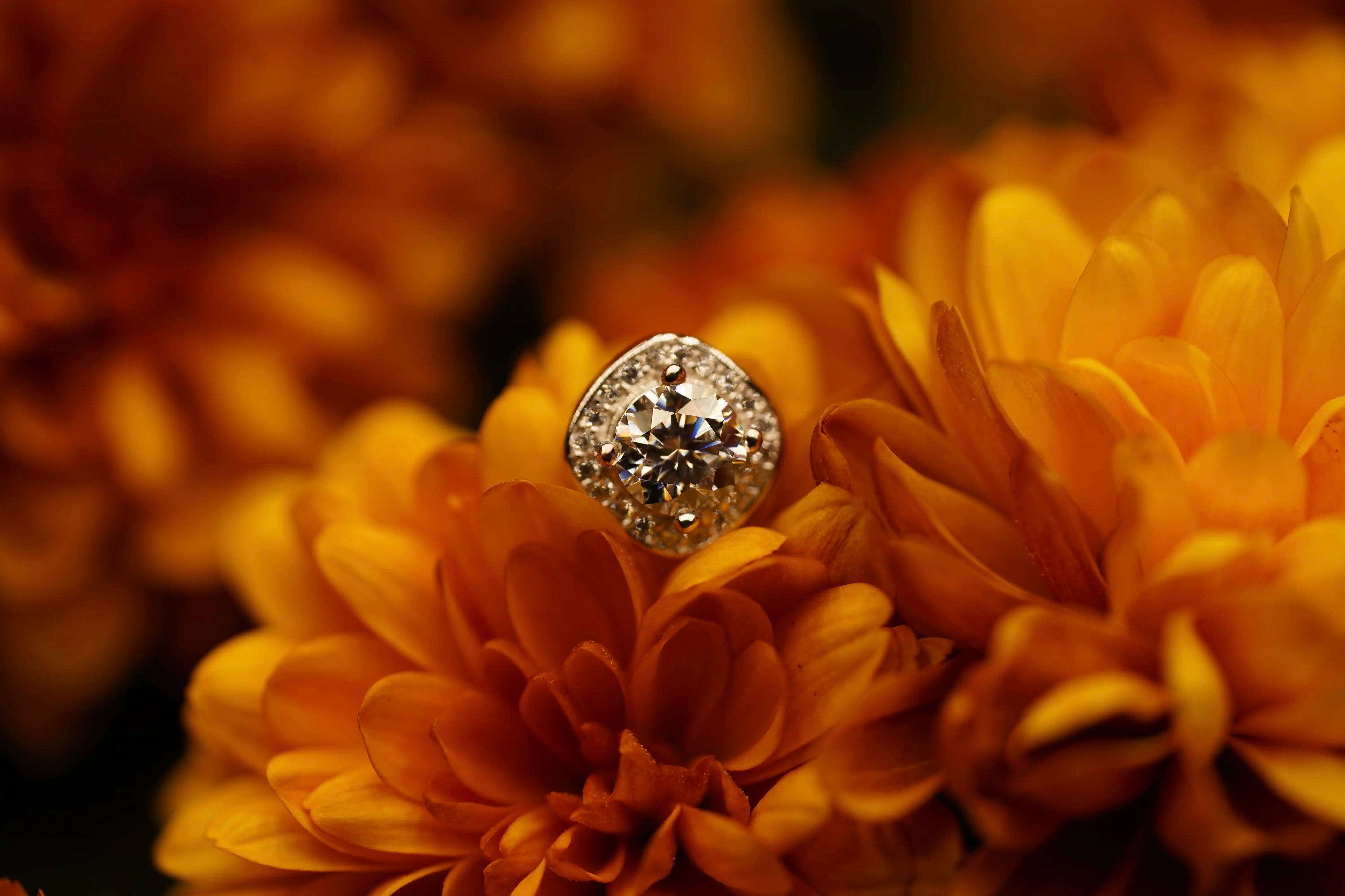 Moissanite Schmuck Ohrringe im Halo design mit Moissanite Stein in der Mitte und Zirkon Steinen drum herum