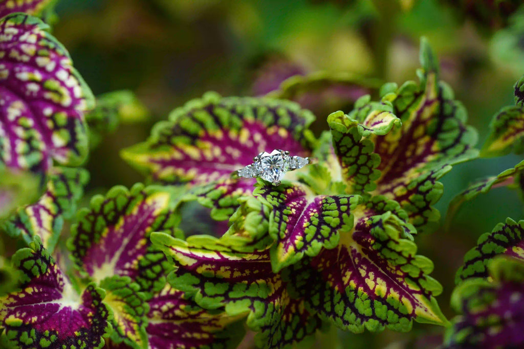 Moissanite Schmuck Ring mit Moissanite Schmuck Herz Steinen und Moissanite Tropfen Schliff Schmuck Steinen