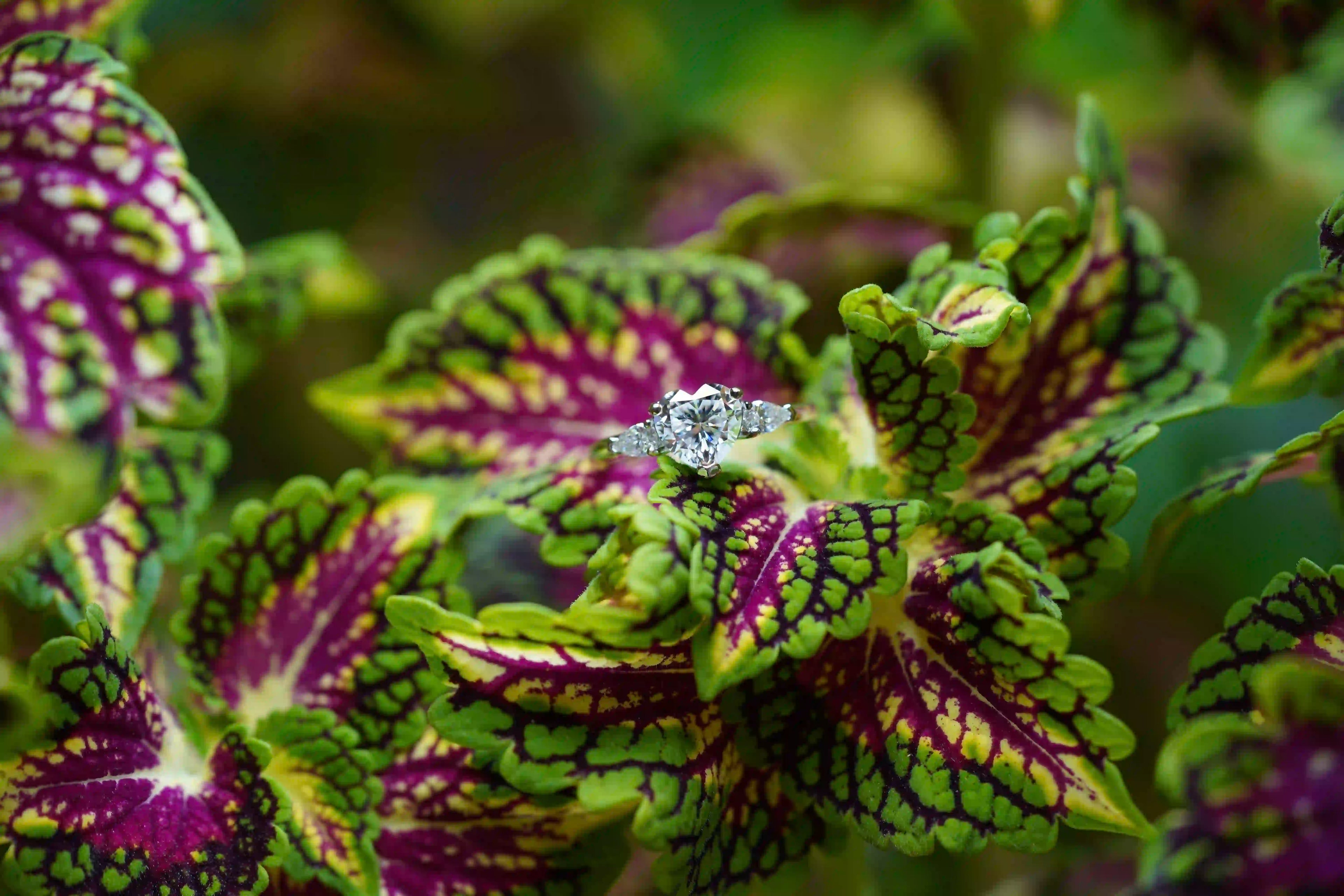 Moissanite Schmuck Ring mit Moissanite Schmuck Herz Steinen und Moissanite Tropfen Schliff Schmuck Steinen