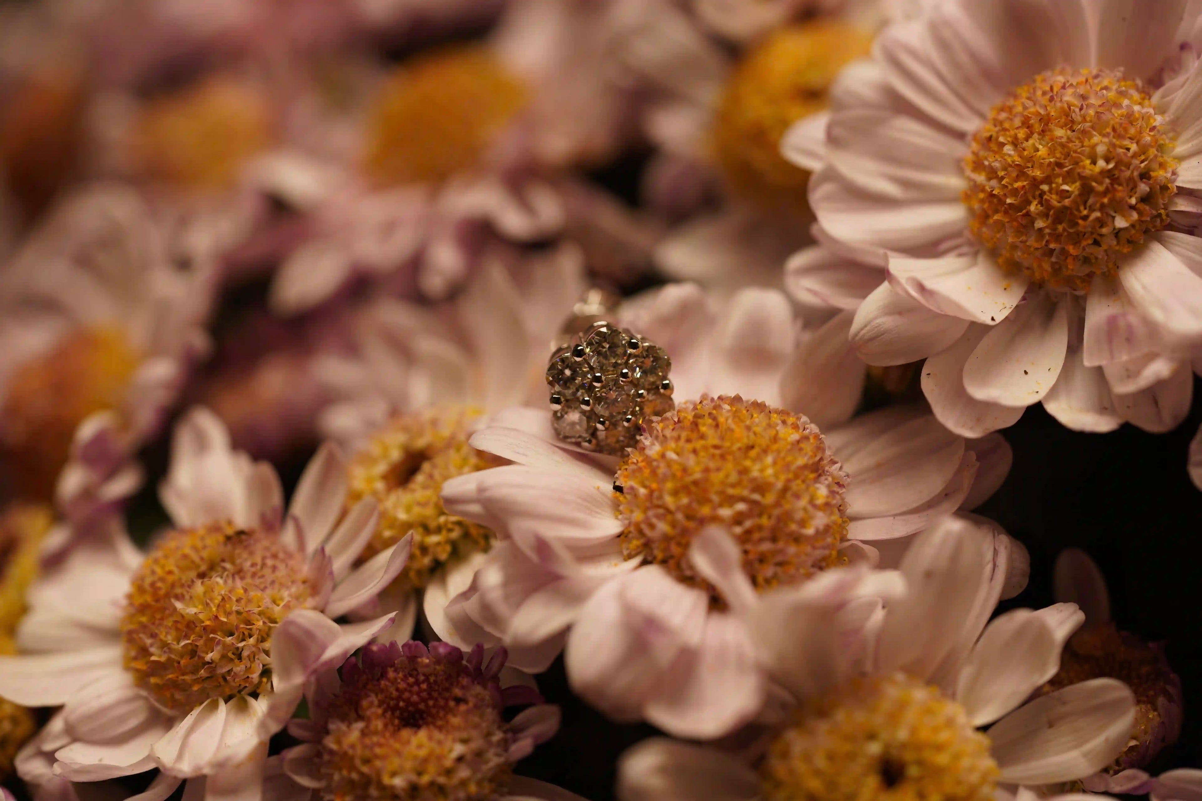 Moissanite Schmuck Ohrstecker mit vielen Moissanite Schmuck Steinen auf einer Blume
