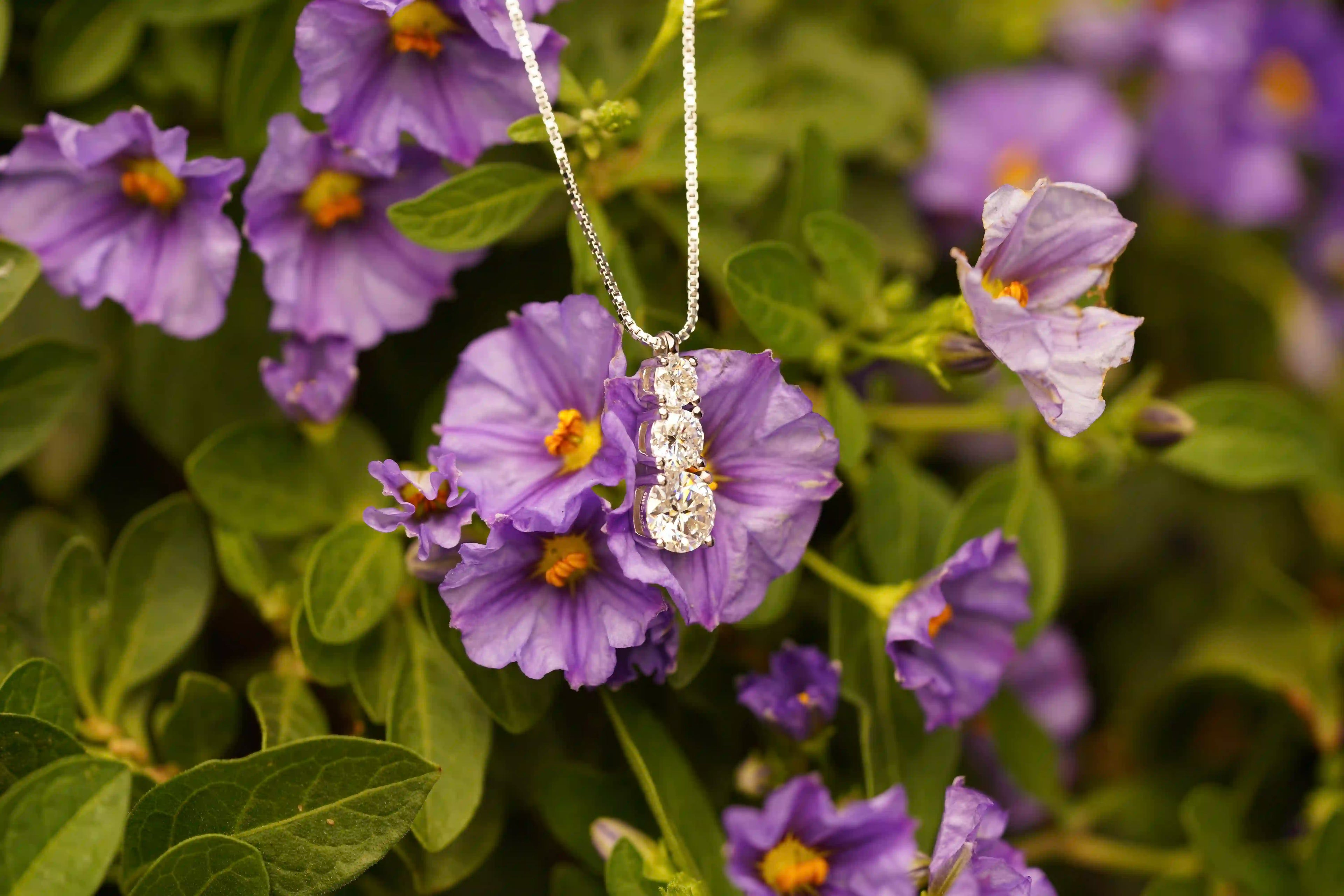 Moissanite Schmuck für Damen aus Sterling Silber mit runden Moissanite Schmuck Steinen 