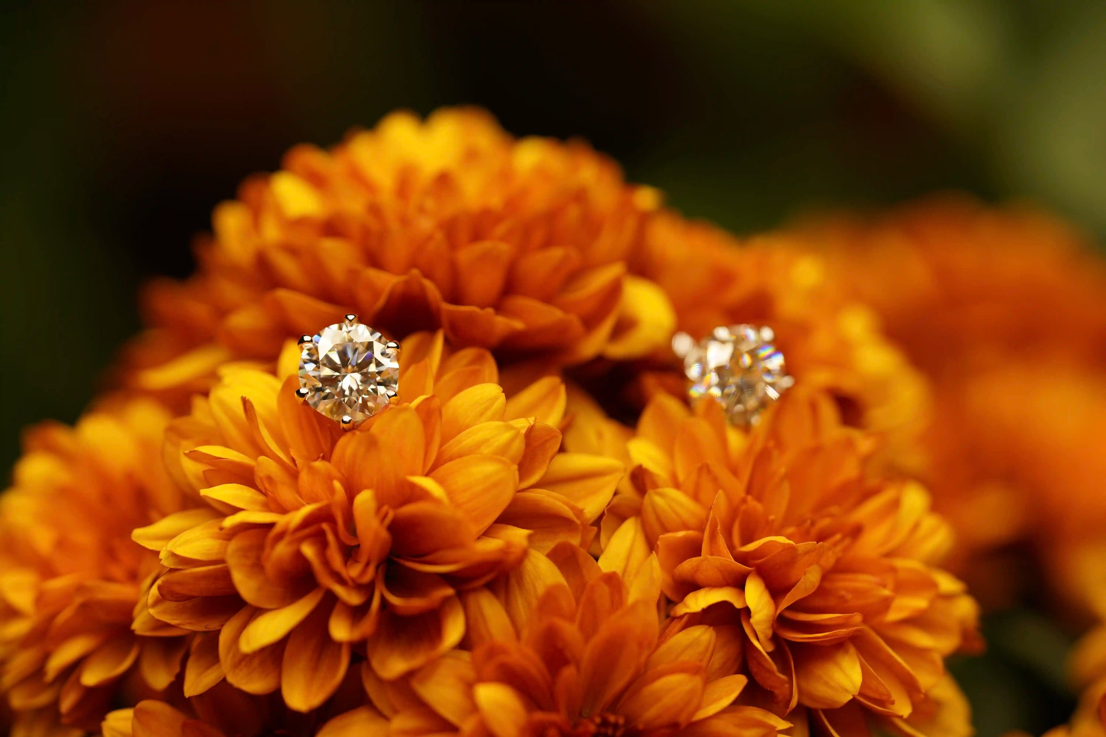 Exklusive Moissanite Ohrringe mit brillantem 6-Halter Design – funkelnder Moissanite Schmuck mit Schraubverschluss in verschiedenen Größen.