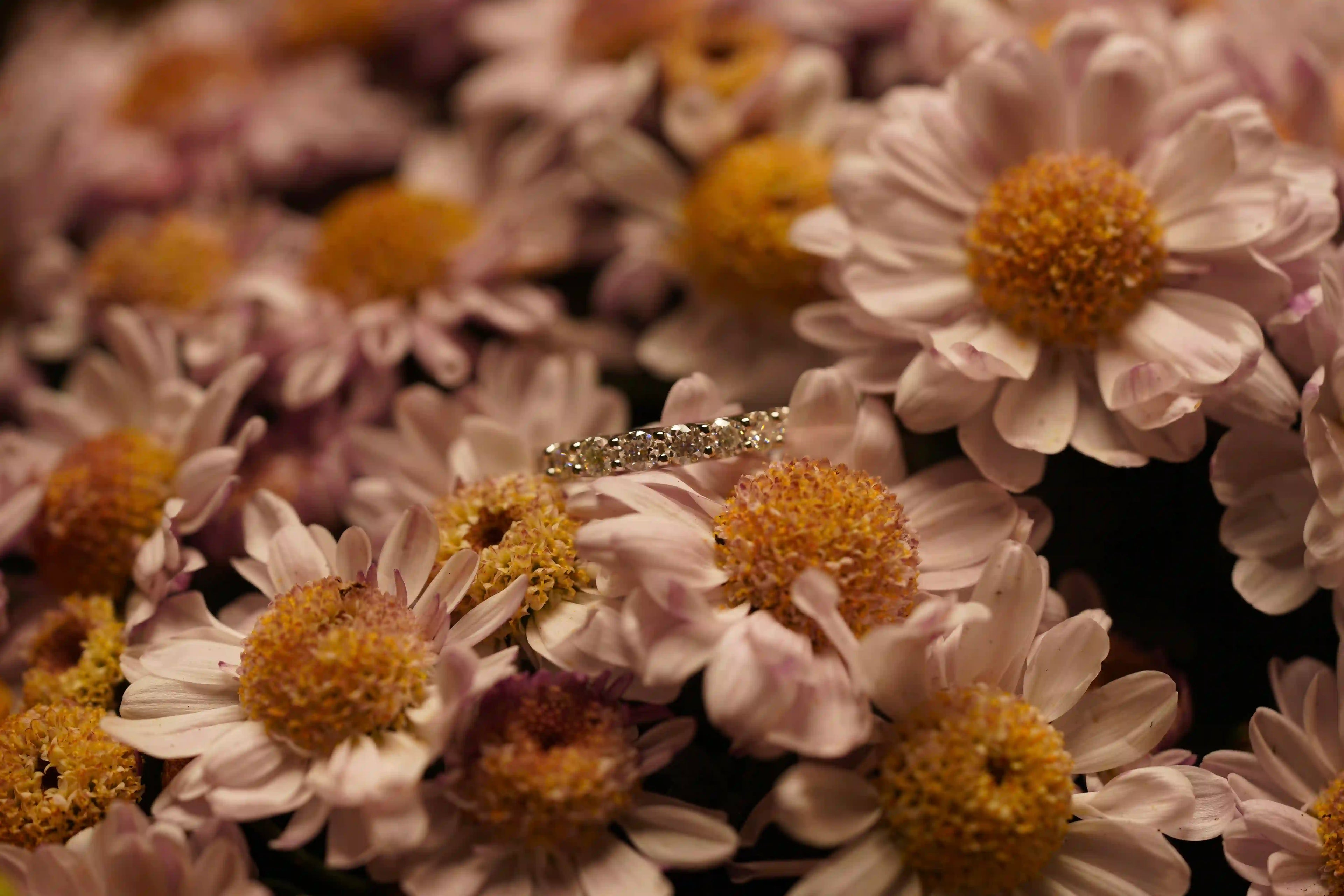 Moissanite Schmuck Ohrringe aus Sterling Silber mit 18k Weißgoldplattierung für Damen