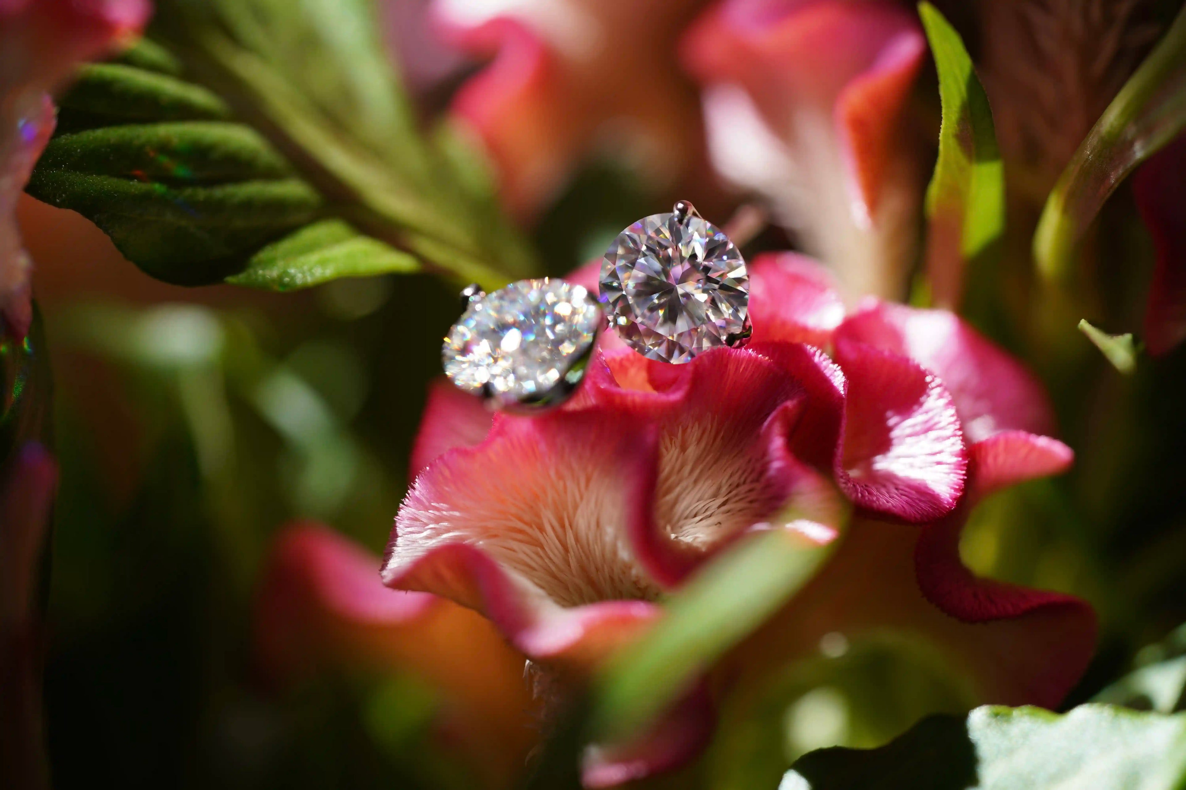 Moissanite Schmuck Ohrringe aus Sterling Silber bei denen der Moissanite Schmuck Stein von drei haltern gehalten wird 