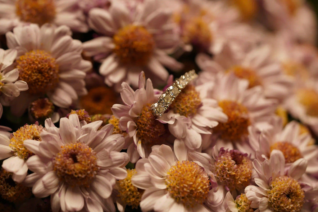 Funkelnde Moissanite Schmuck Ohrringe im Größenverlauf mit großen und kleinen Moissaniten