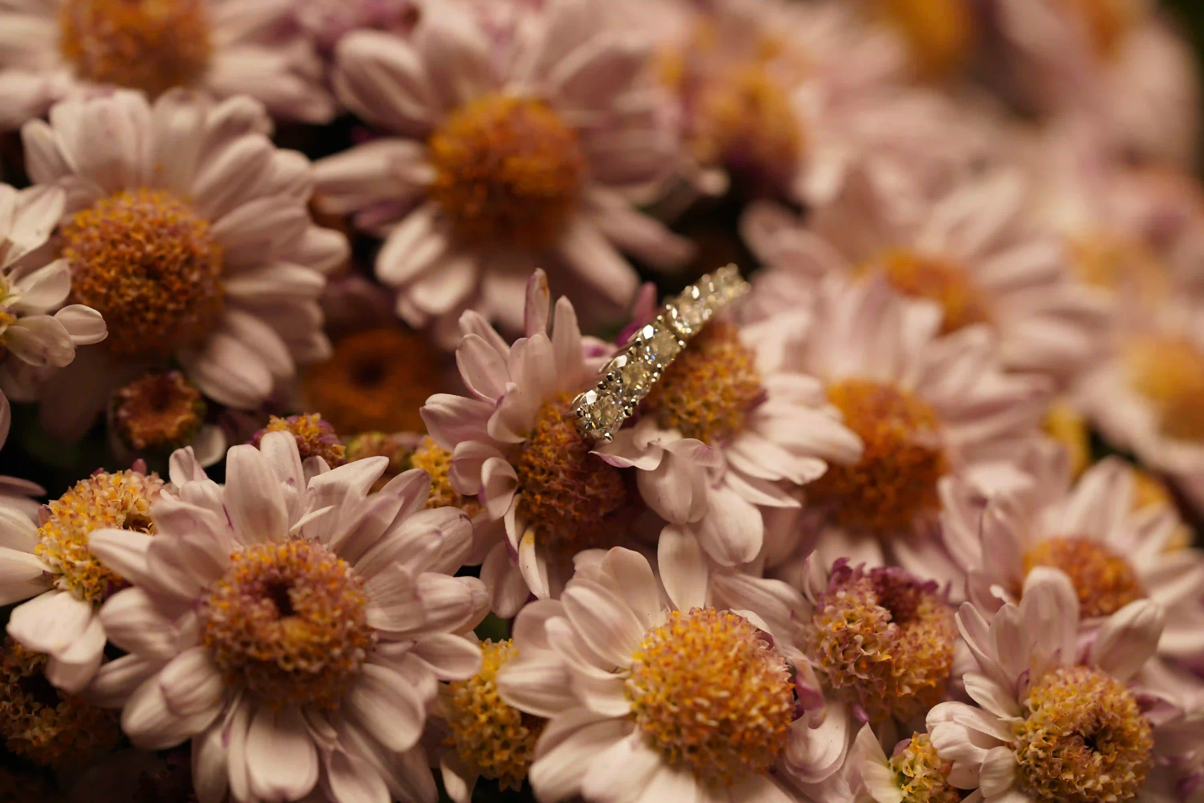 Funkelnde Moissanite Schmuck Ohrringe im Größenverlauf mit großen und kleinen Moissaniten