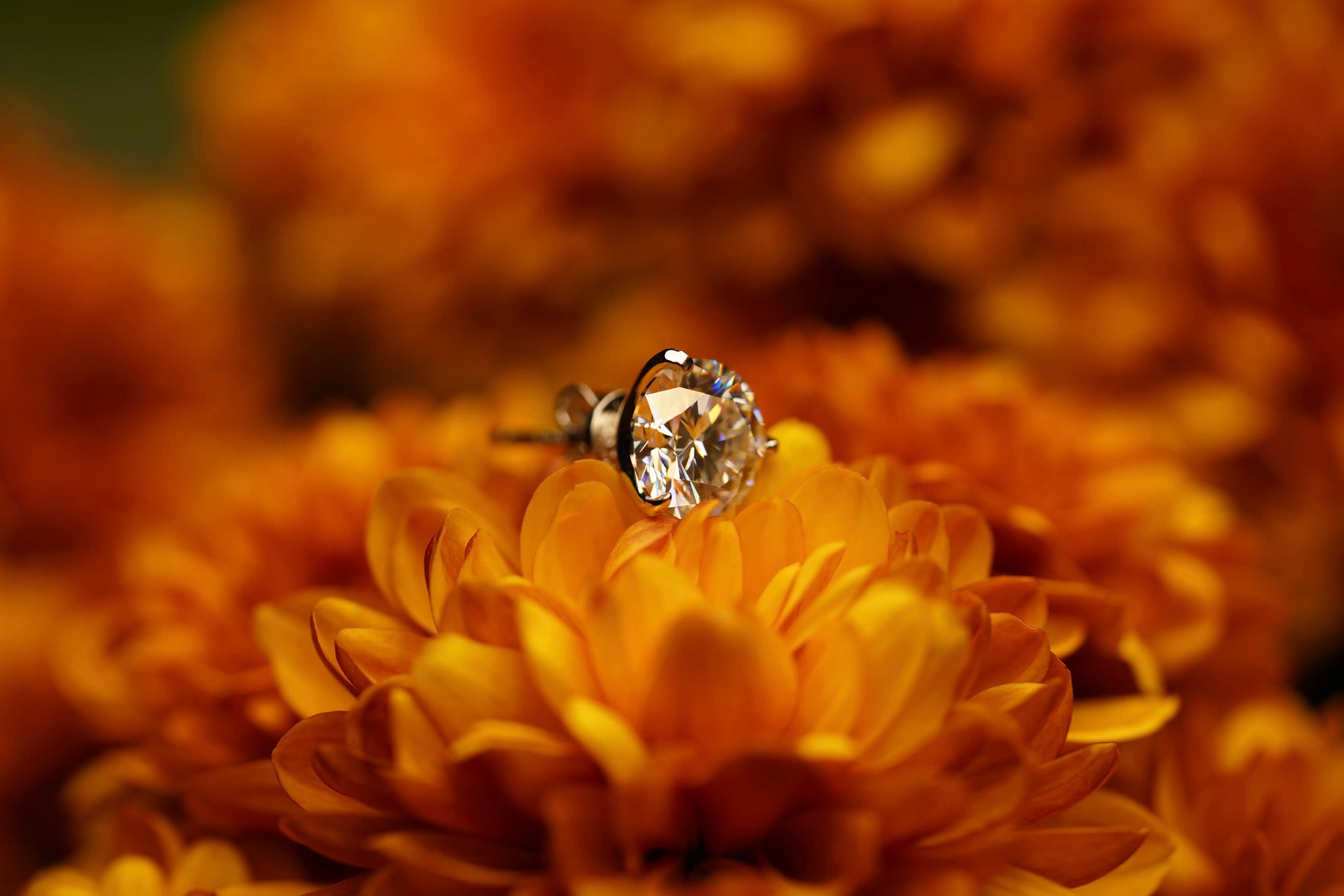 Moissanite Schmuck Ohrringe mit rundem Moissanite Schmuck Brillanten für Damen und Herren perfekt als Geschenk