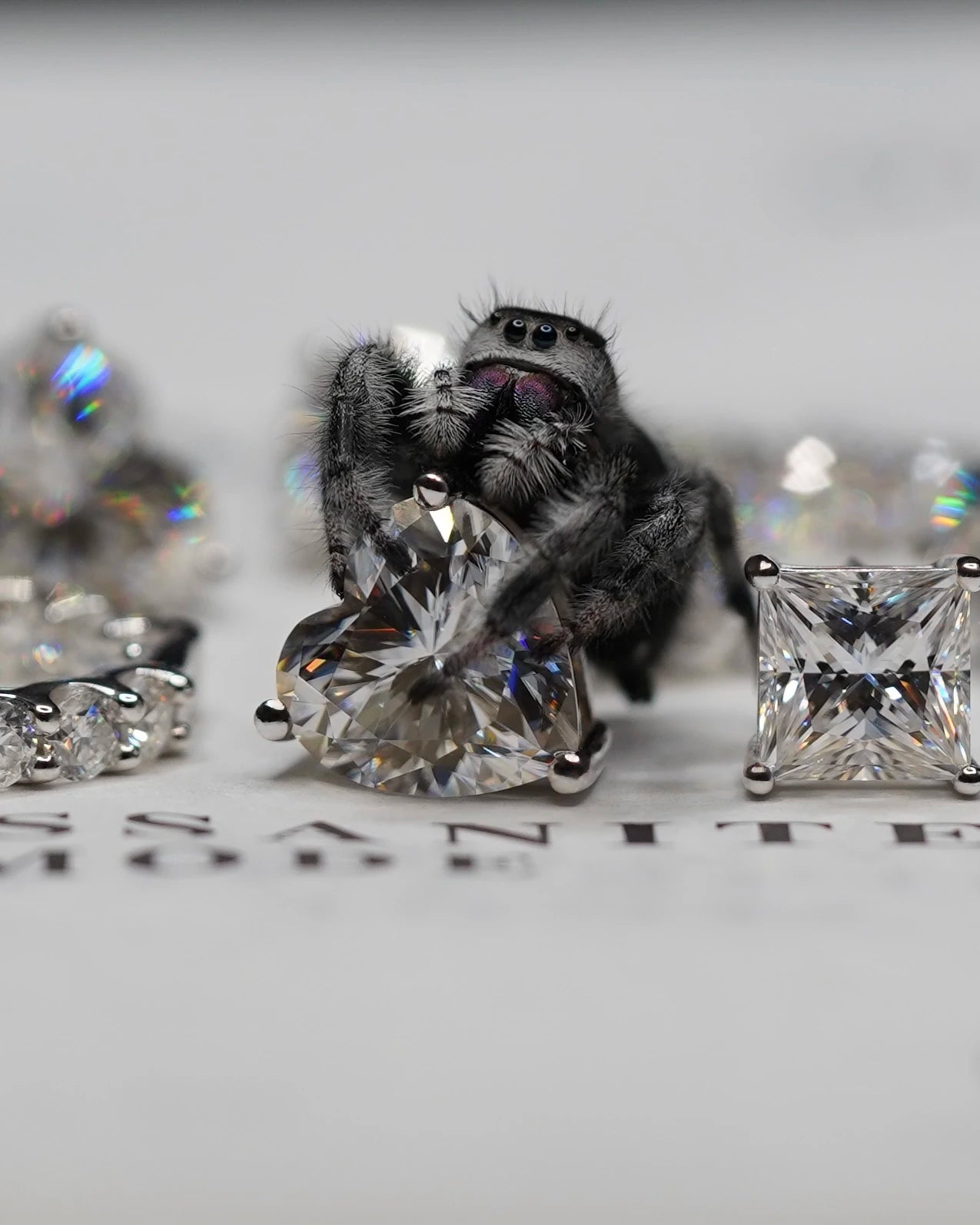 Moissanite Schmuck Ohrringe und Moissanite Ohrstecker mit Moissanite Schmuck steinen gefasst in Sterling Silber