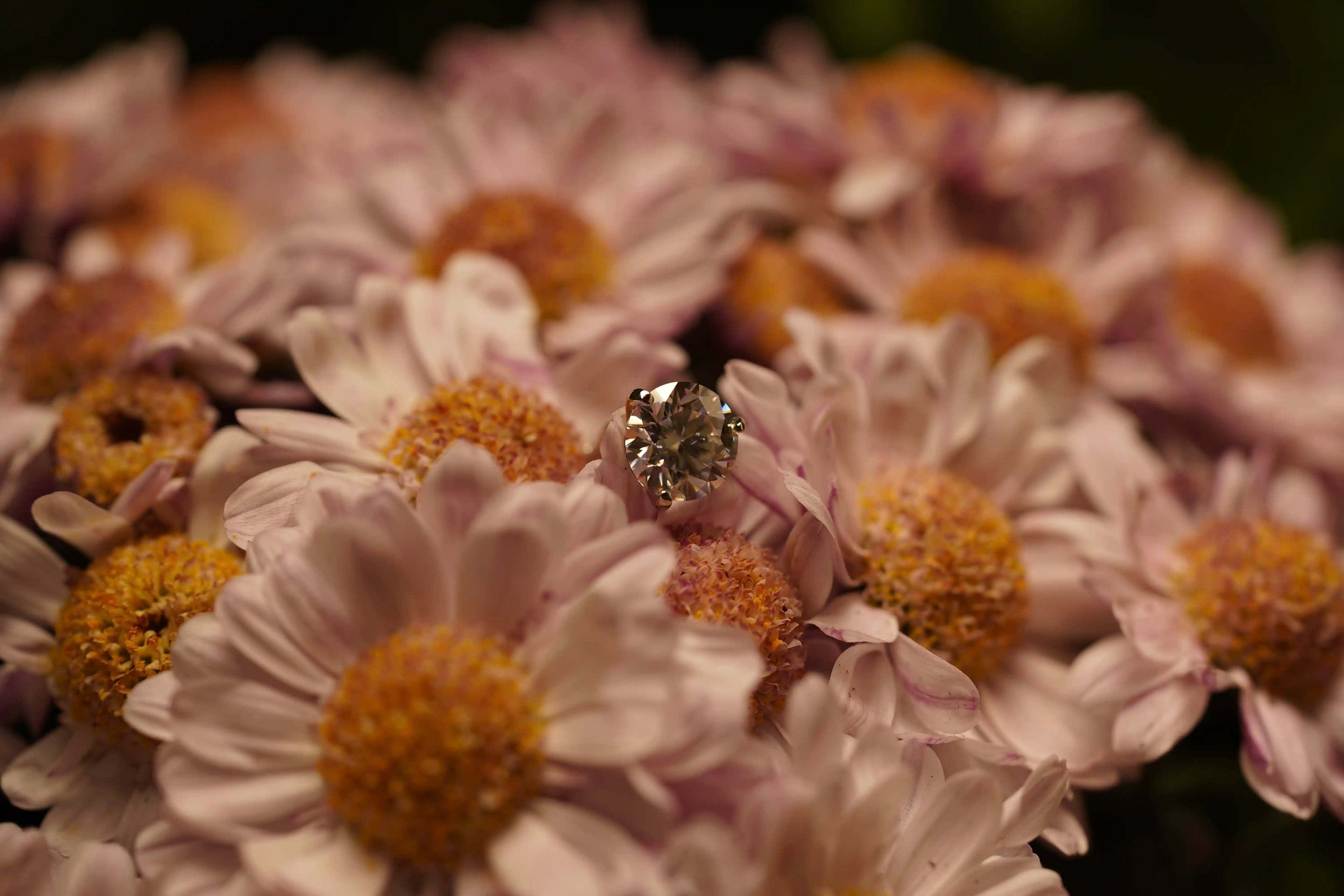 Moissanite Schmuck Ohrstecker mit Moissanite Brillant gehalten von drei haltern aus 925 Sterling Silber