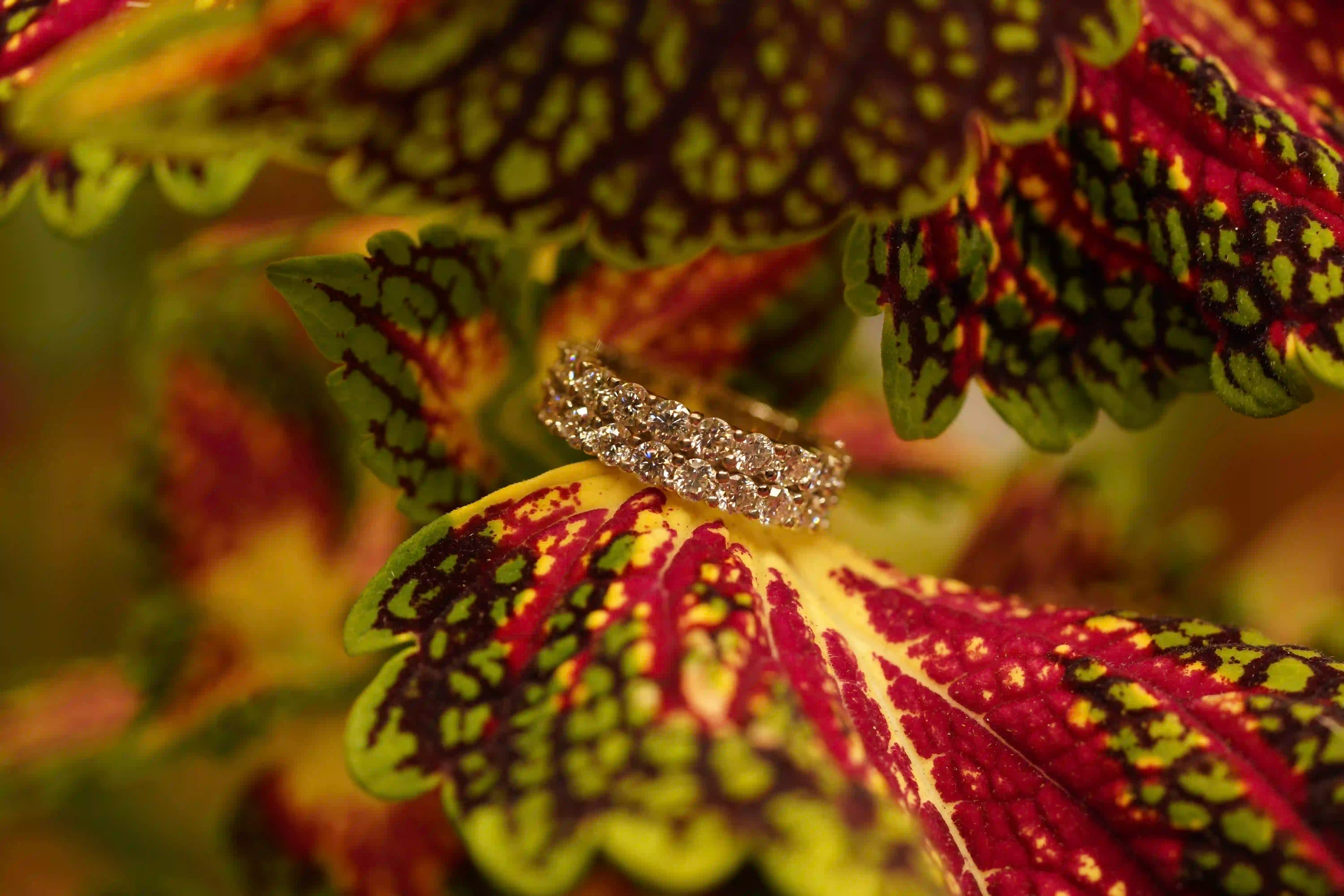 Glänzender Moissanite Schmuck aus Sterling Silber mit 18k Weißgold Veredelung 