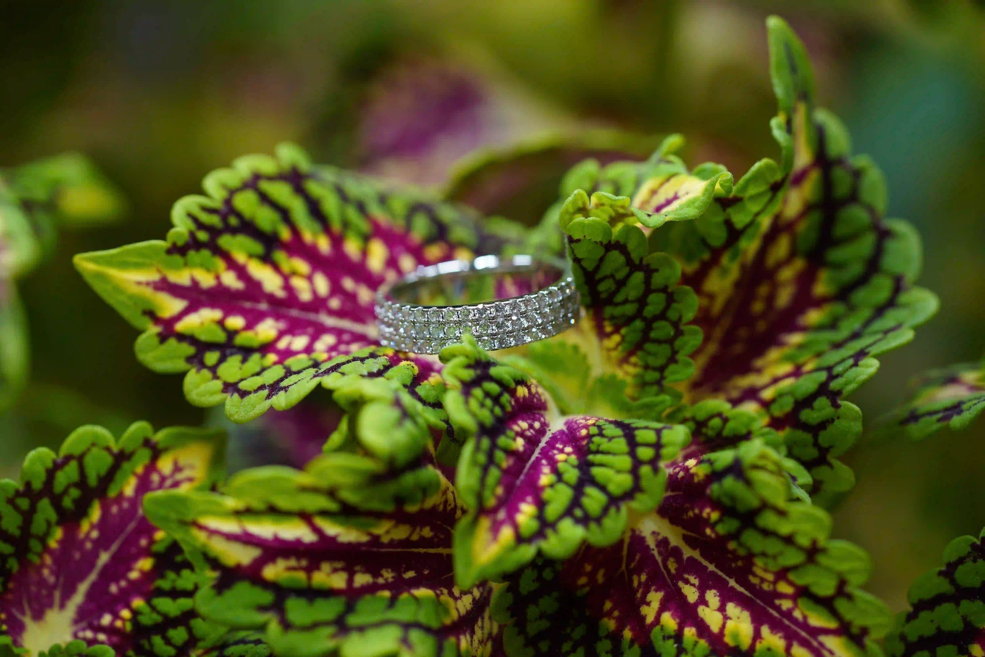 Stabieler Moissanite Schmuck Ring im Eternity design mit drei reihen kleiner Moissnaite im Brillantschliff