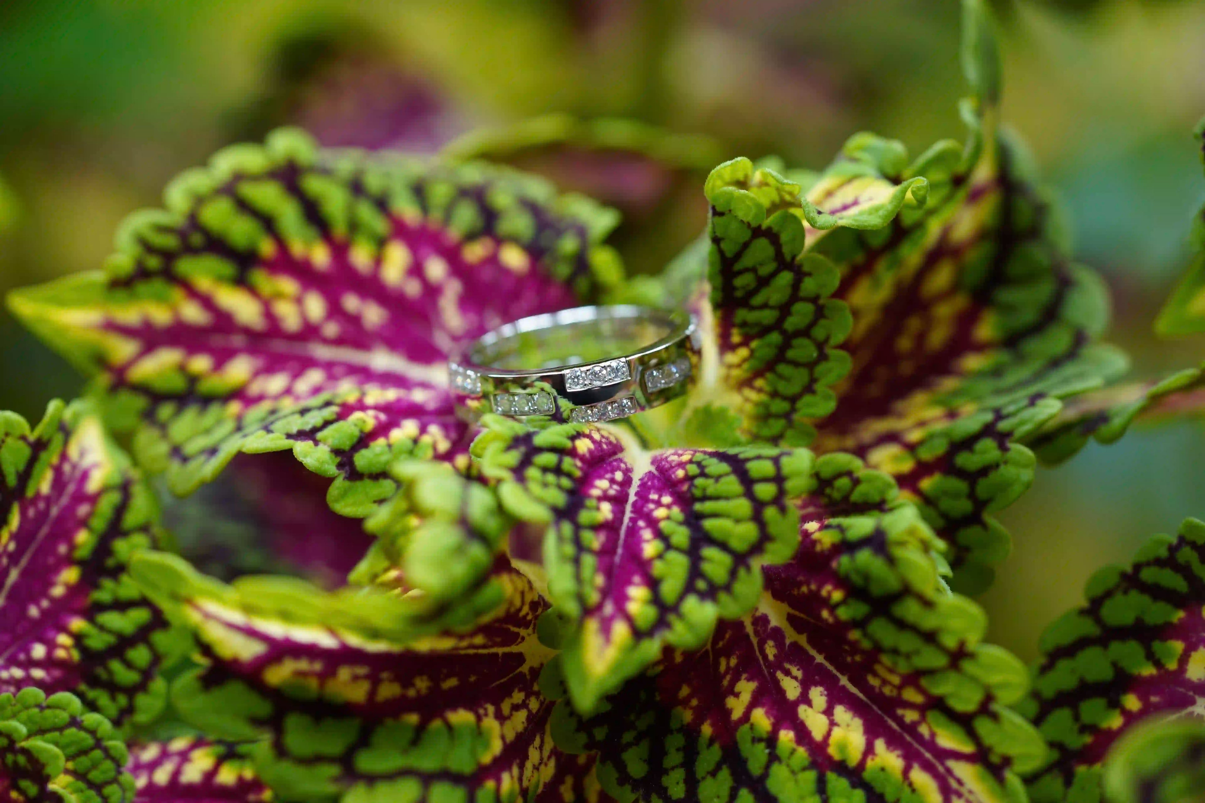 Moissanite Schmuck Ring aus Sterling Silber mit kleinen Moissaniten rund herum 