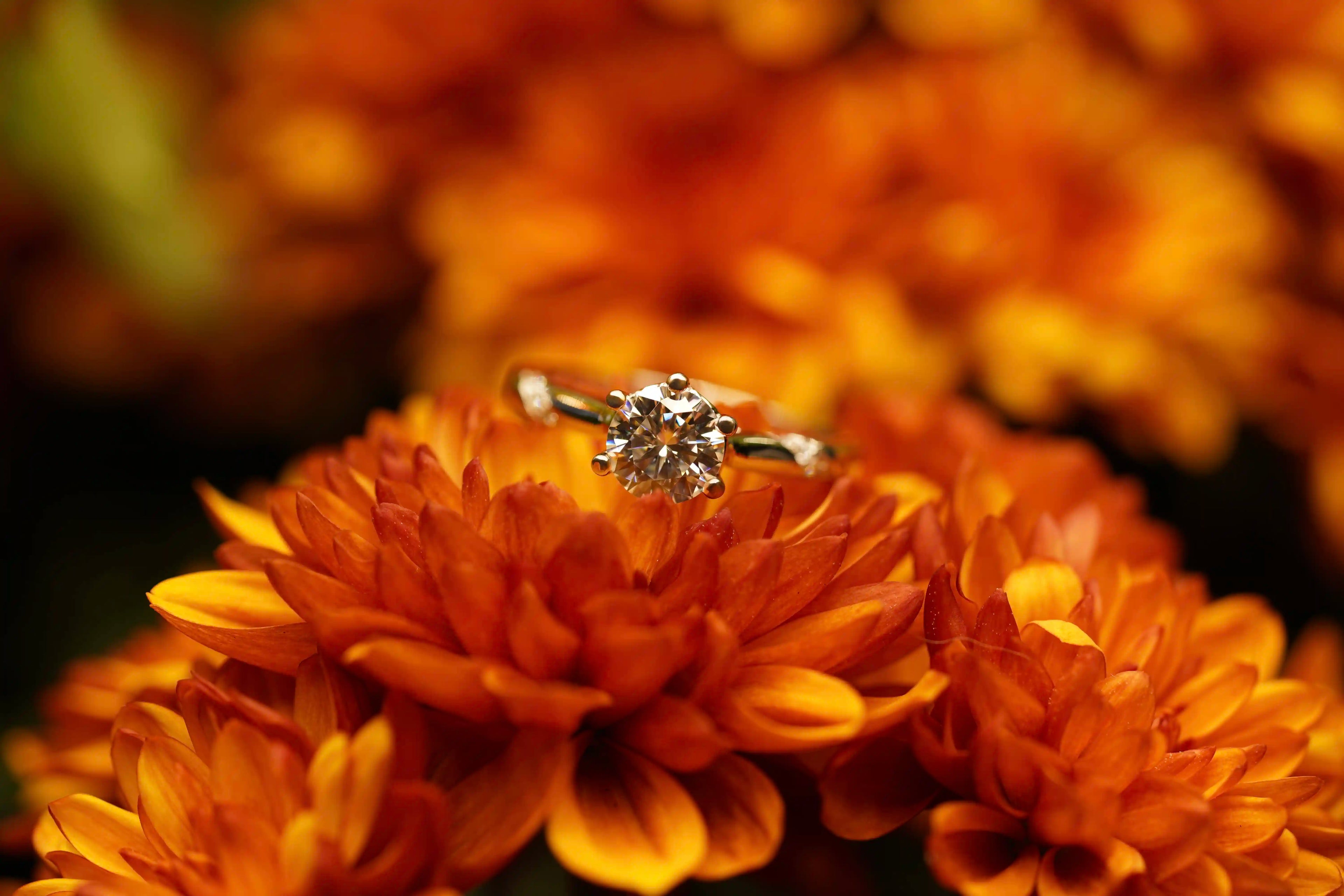 Moissanite Schmuck Solitär Ring mit Moissanite und Zirkon neben Steinen gefasst in Sterling Silber 