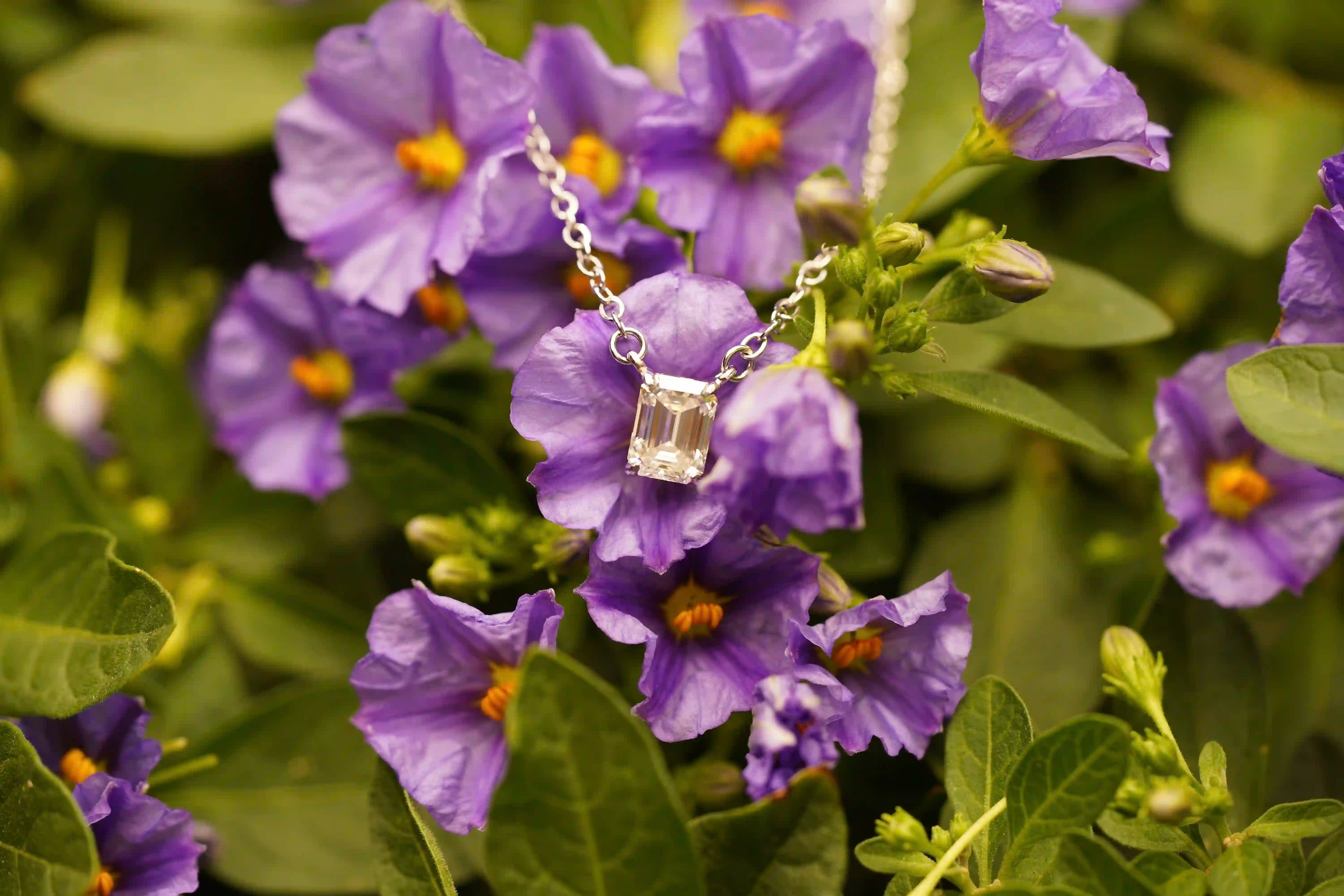 Moissanite Schmuck für Herren und Damen gefertigt aus Silber und veredelt mit 18k Weißgold