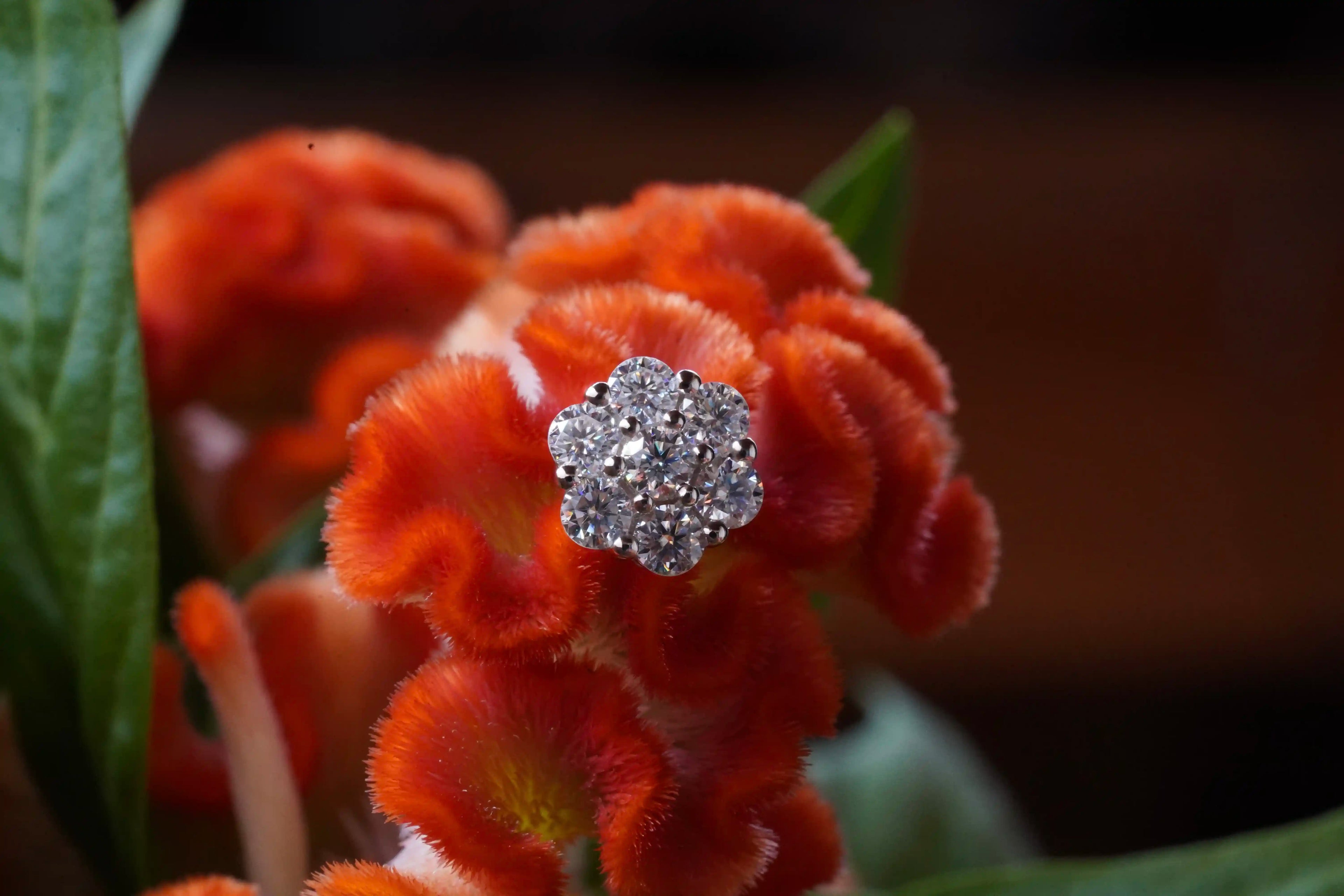 Funkelnde Moissanite Schmuck Steine gefasst in einem Moissanite Schmuck Ohrring