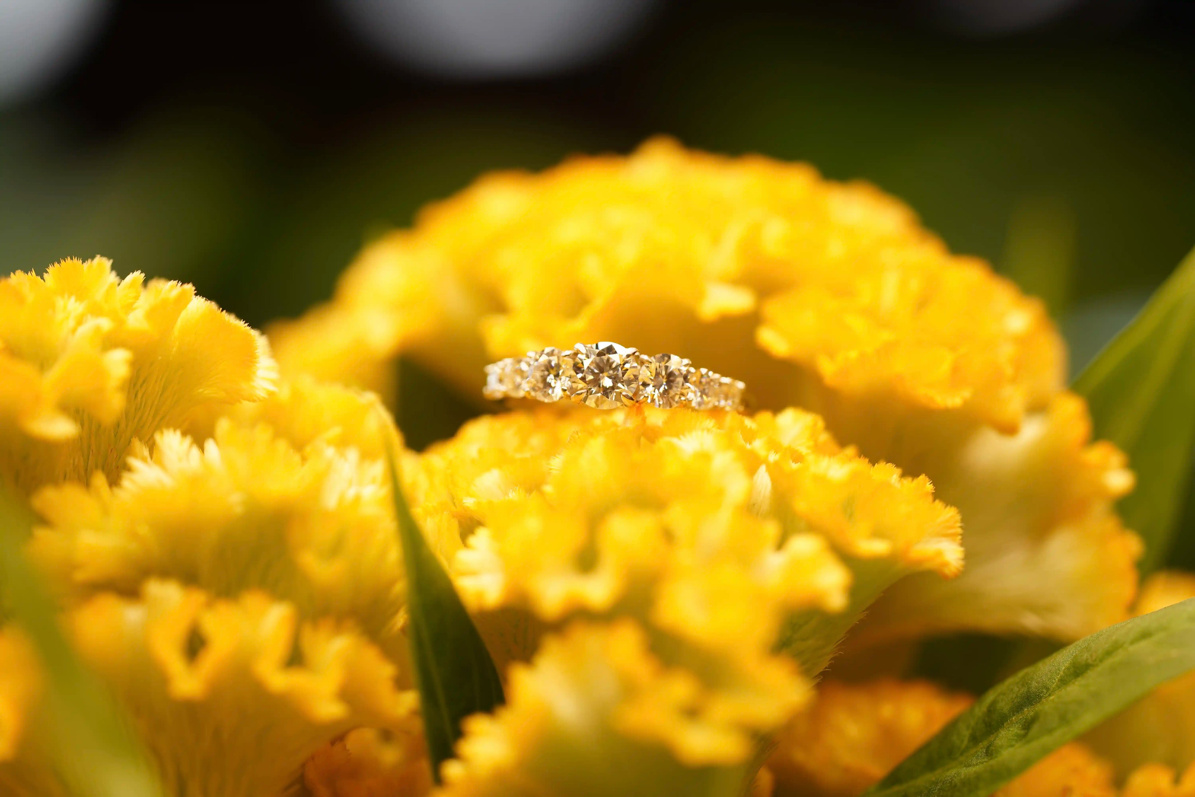 Funkelnder Moissanite Schmuck auf einer Blume funkelnd in der Sonne mit klaren Moissanite brillanten