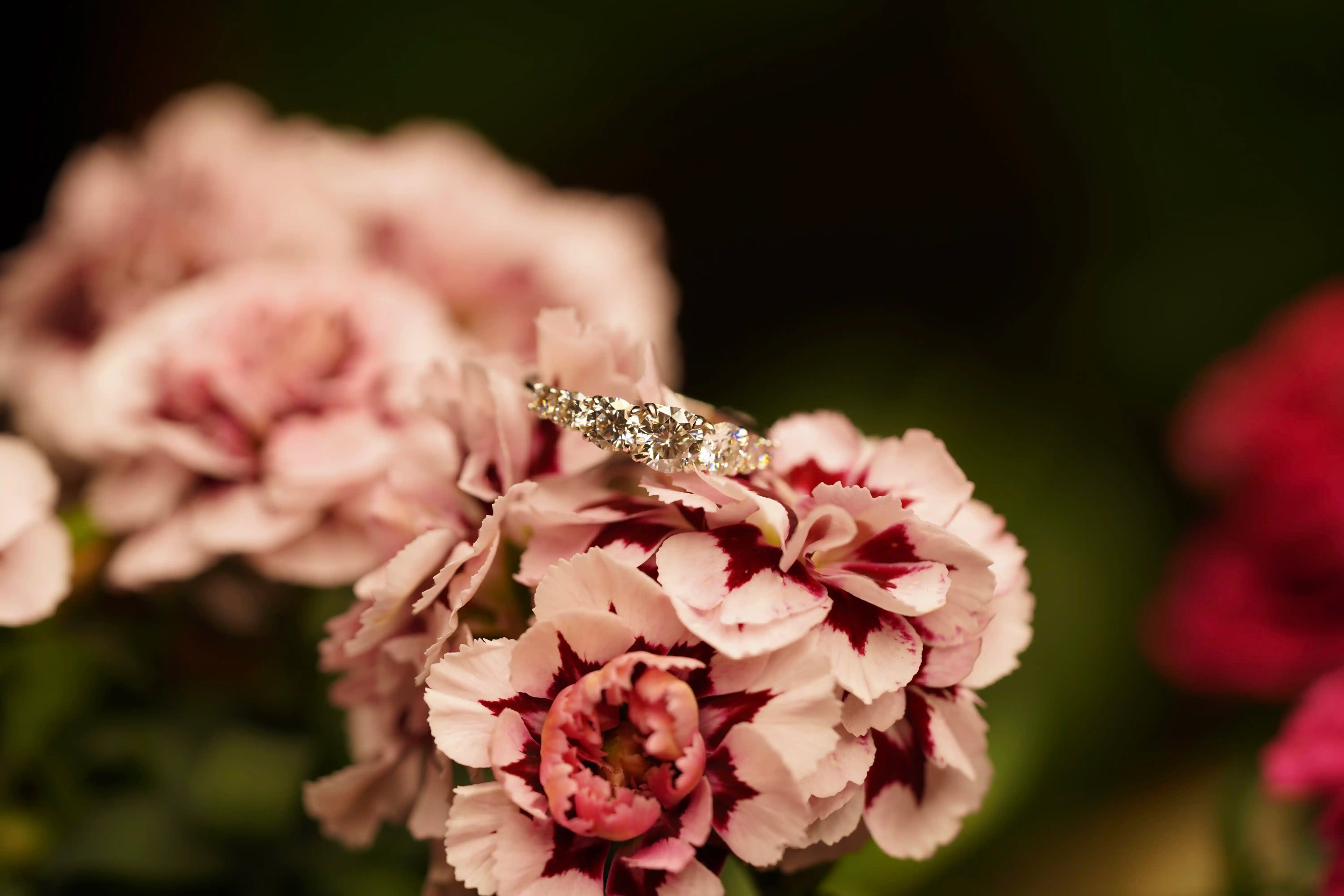 Auffallender Moissanite Schmuck Ring mit verschieden grossen Moissanite Steinen auf der oberen Seite