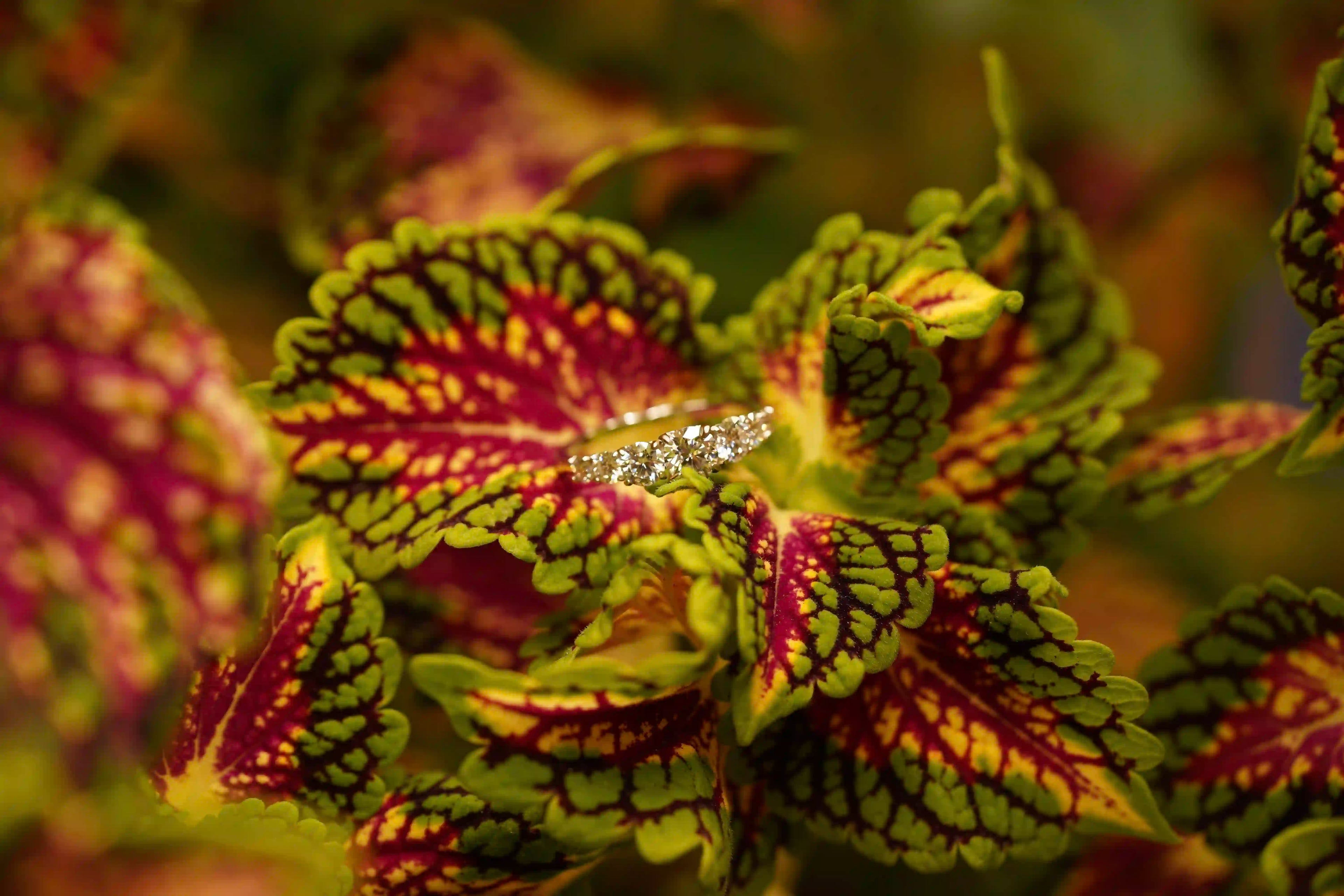Moissanite Schmuck Verlobungsring aus Sterling Silber mit Moissanite Brillanten auf der Oberseite des Rings
