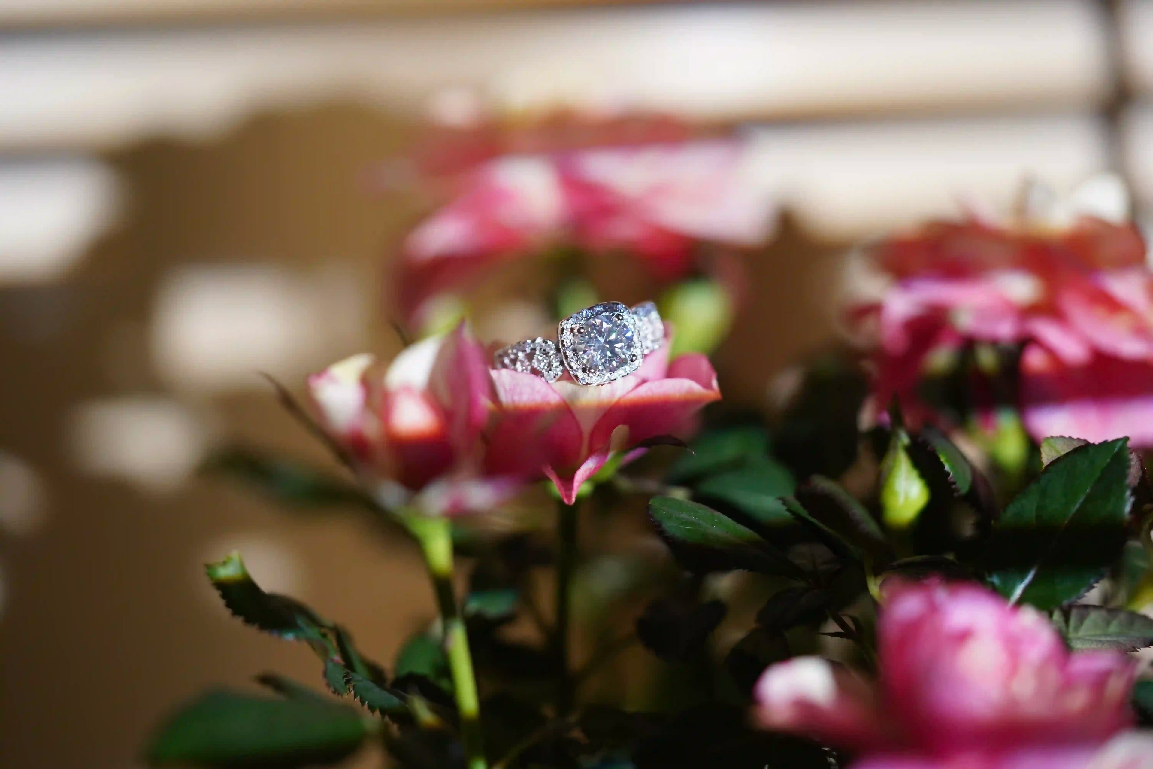 Moissanite Halo Ring für Damen und Herren mit 1Ct Moissanite Hauptstein und Zirkonia Nebensteinen