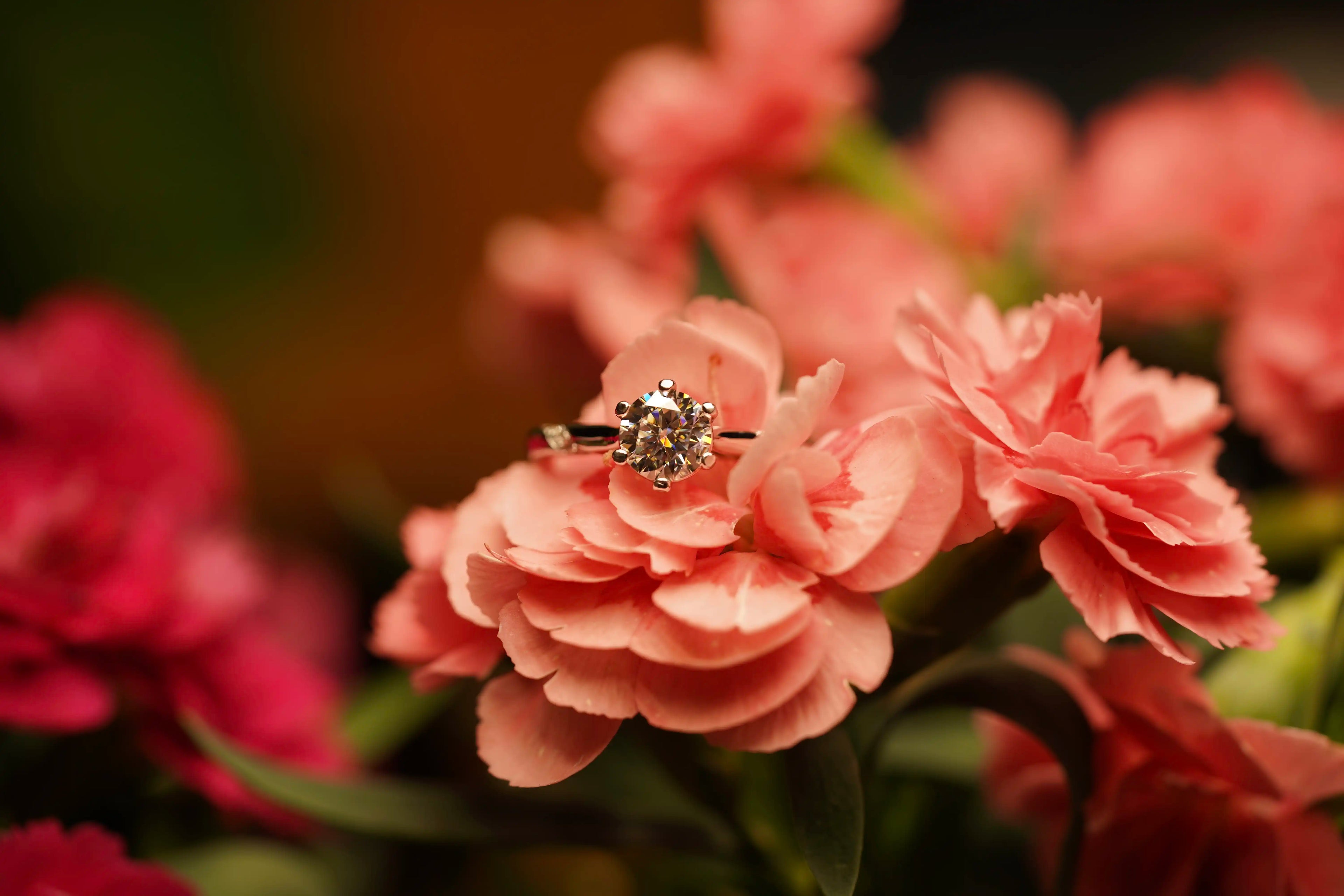Moissanite Schmuck solitär Ring perfekt als Romantisches Geschenk für Damen