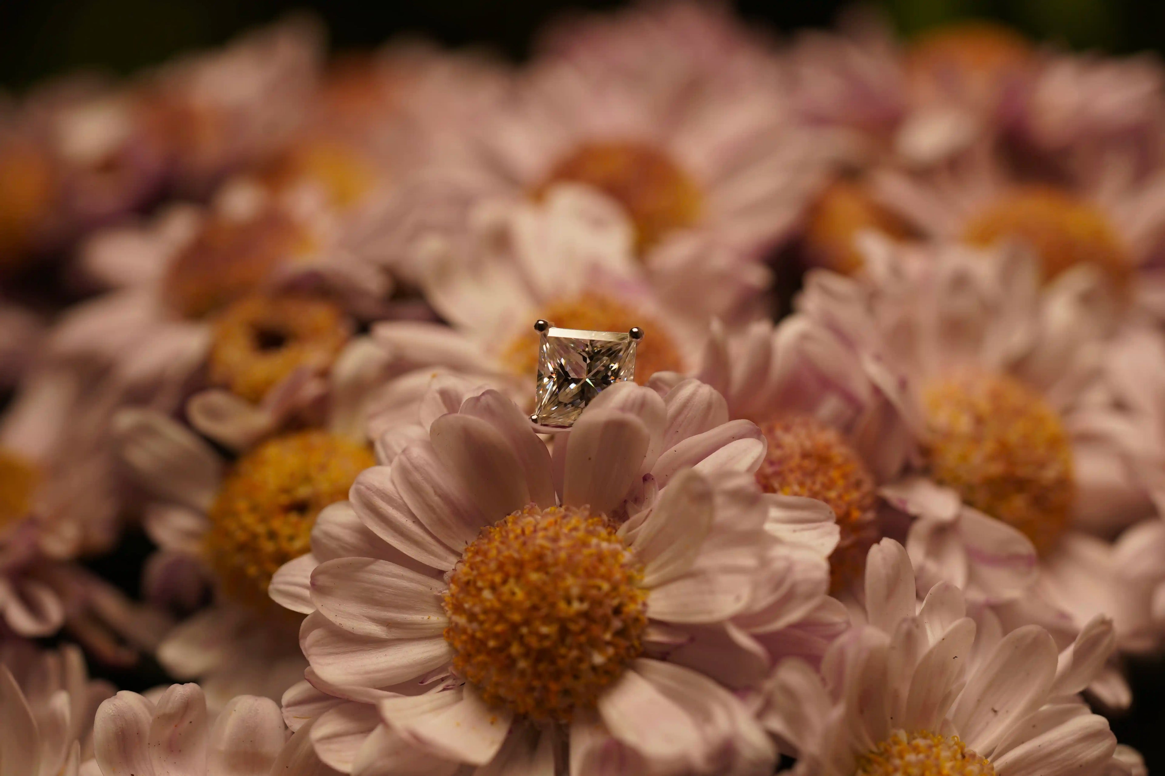 Moissanite Solitär Ring aus 925 Silber mit Weißgold Veredelung – funkelt stärker als Diamanten, echte Fotos im natürlichen Licht