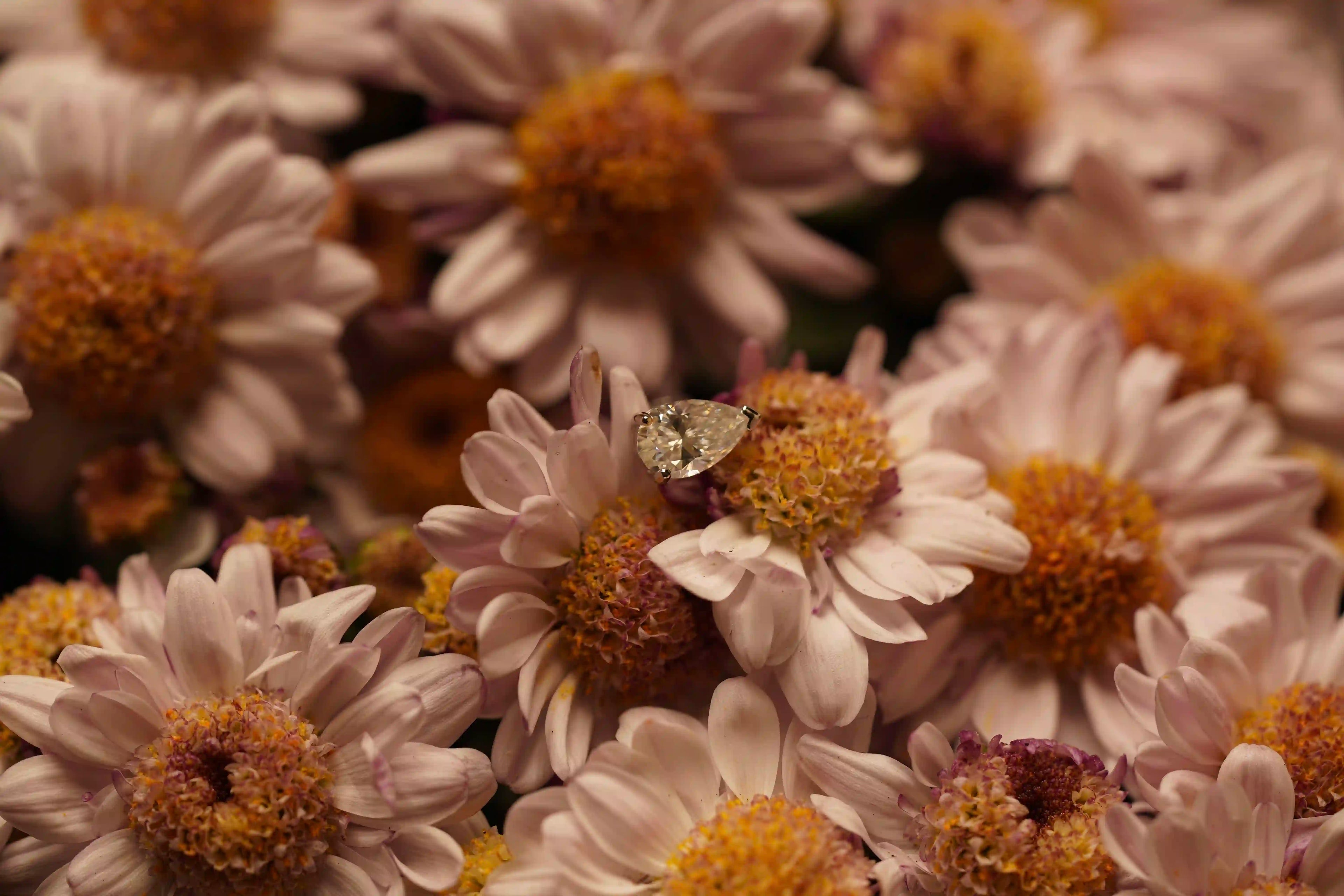 Moissanite Tropfen Ohrringe aus Sterling Silber funkeln auf Blumen