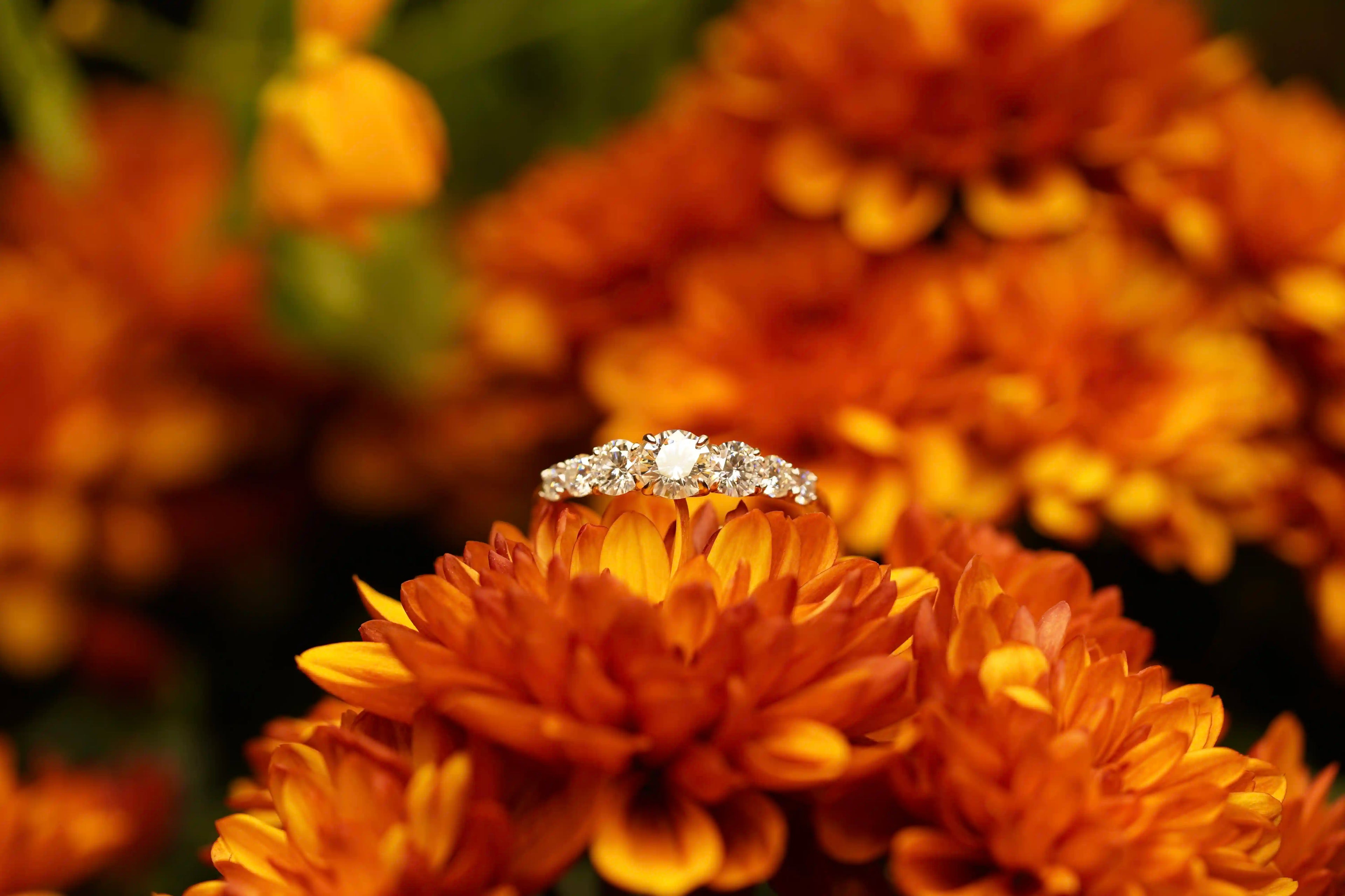 Moissanite Verlobungsring perfekt als romantisches Geschenk für Damen 