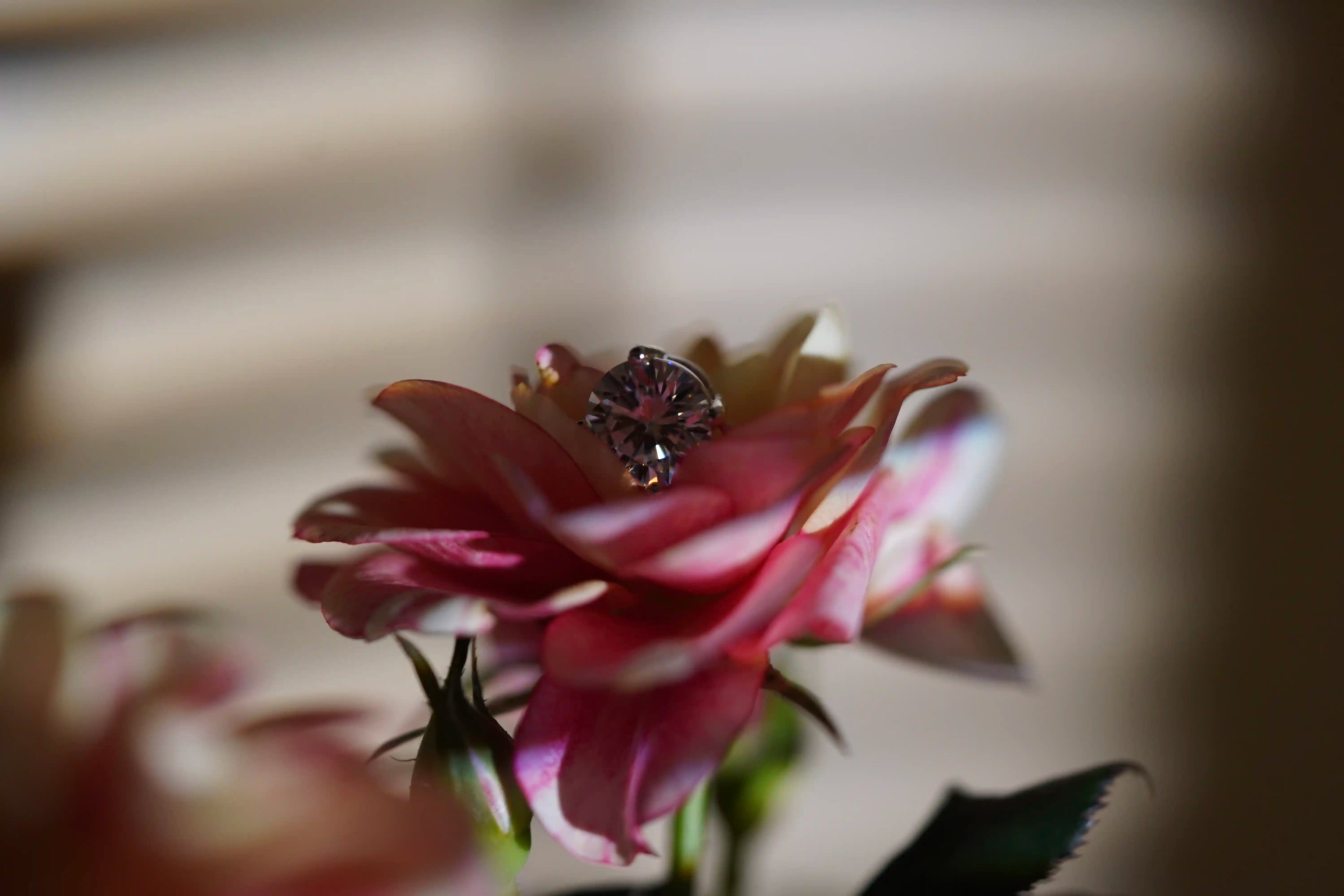 1ct Moissanite Ohrstecker für Herren mit 4 Zinken gefasst in Sterling Silber mit Butterfly Verschluss