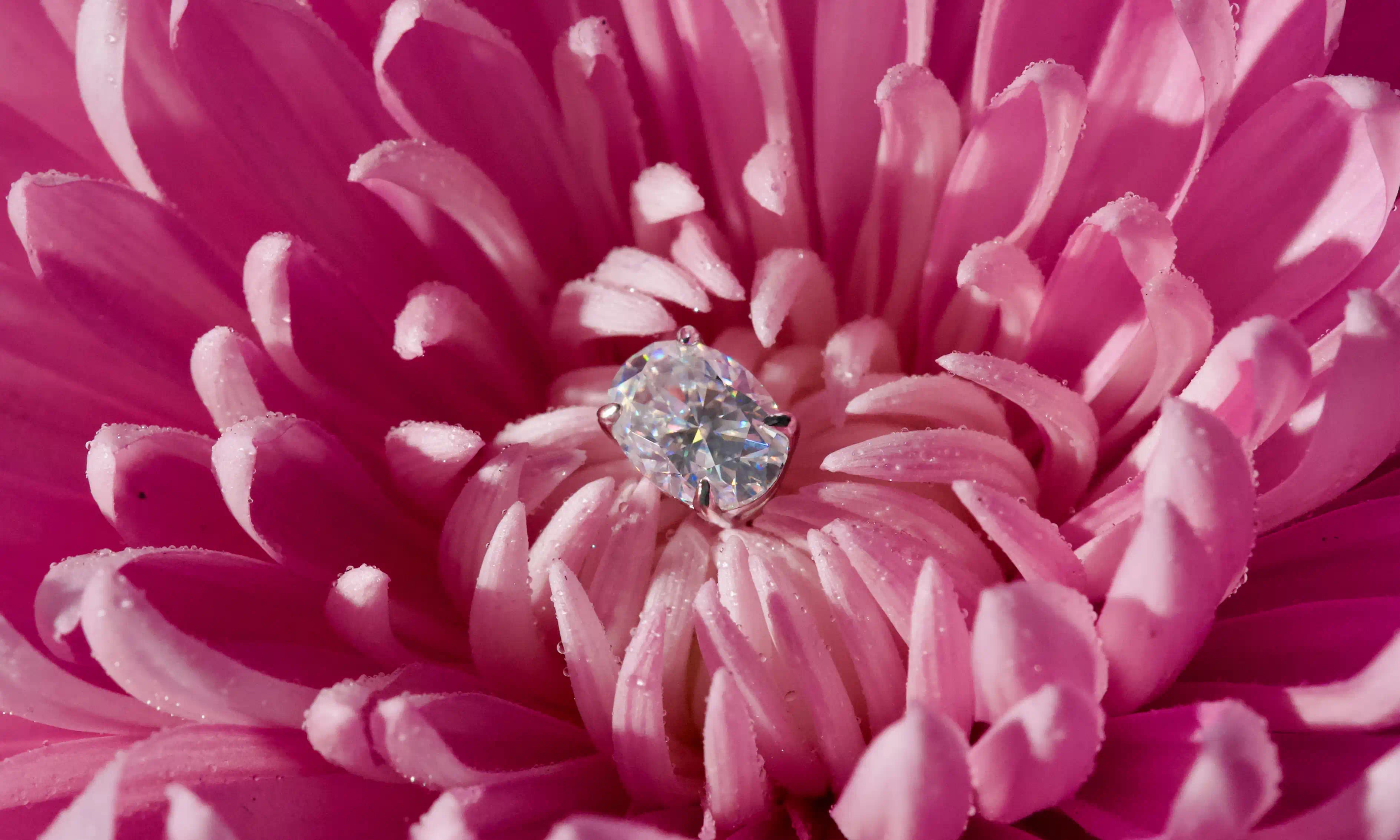 Echte Fotos ovaler Moissanite Ohrstecker in rosa Blüte – intensives Funkeln stärker als Diamant mit eleganter Wirkung im Alltag