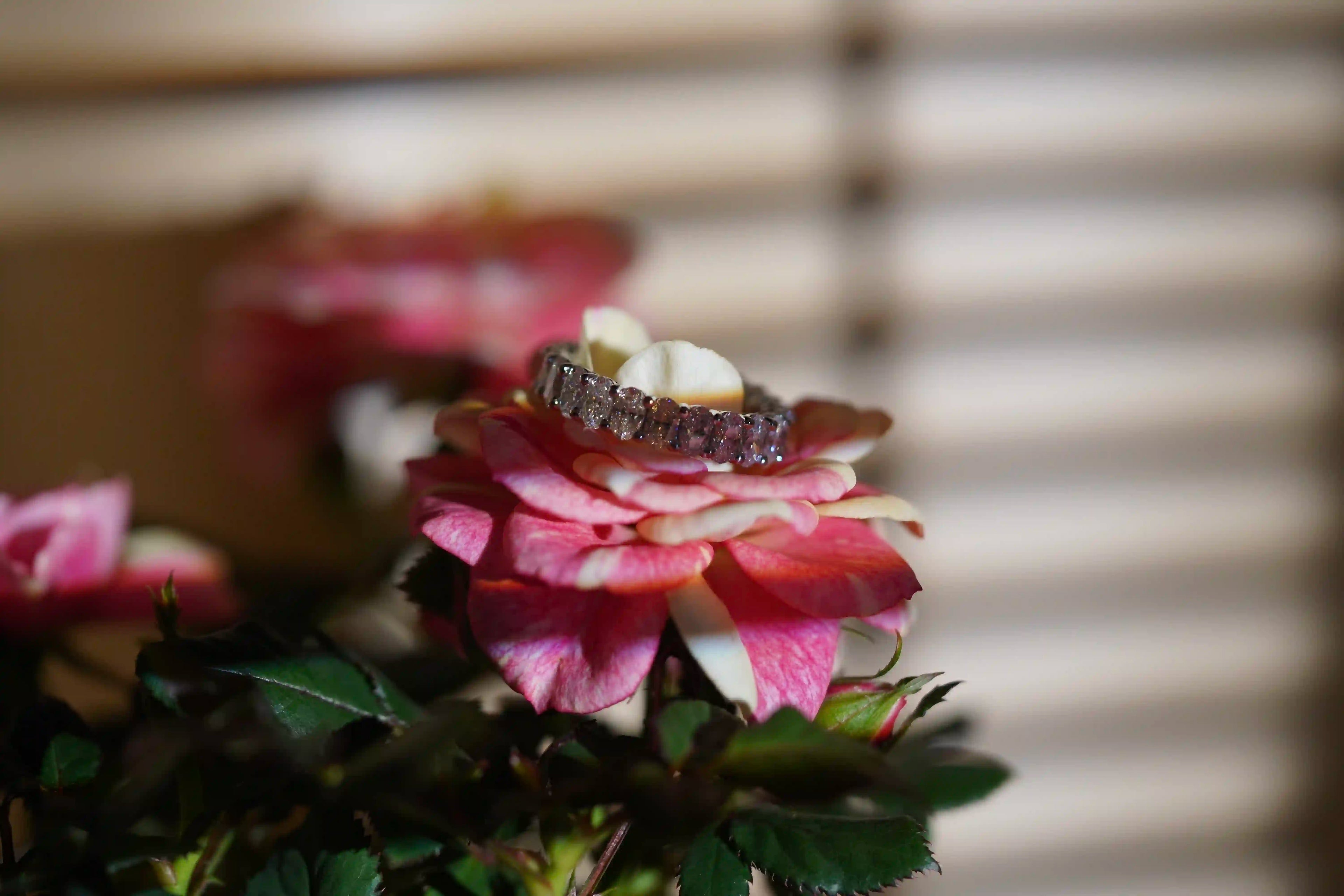 Zeitloser Eternity Ring aus Sterling Silber mit Moissanite Schmuck Steinen im Oval Schliff