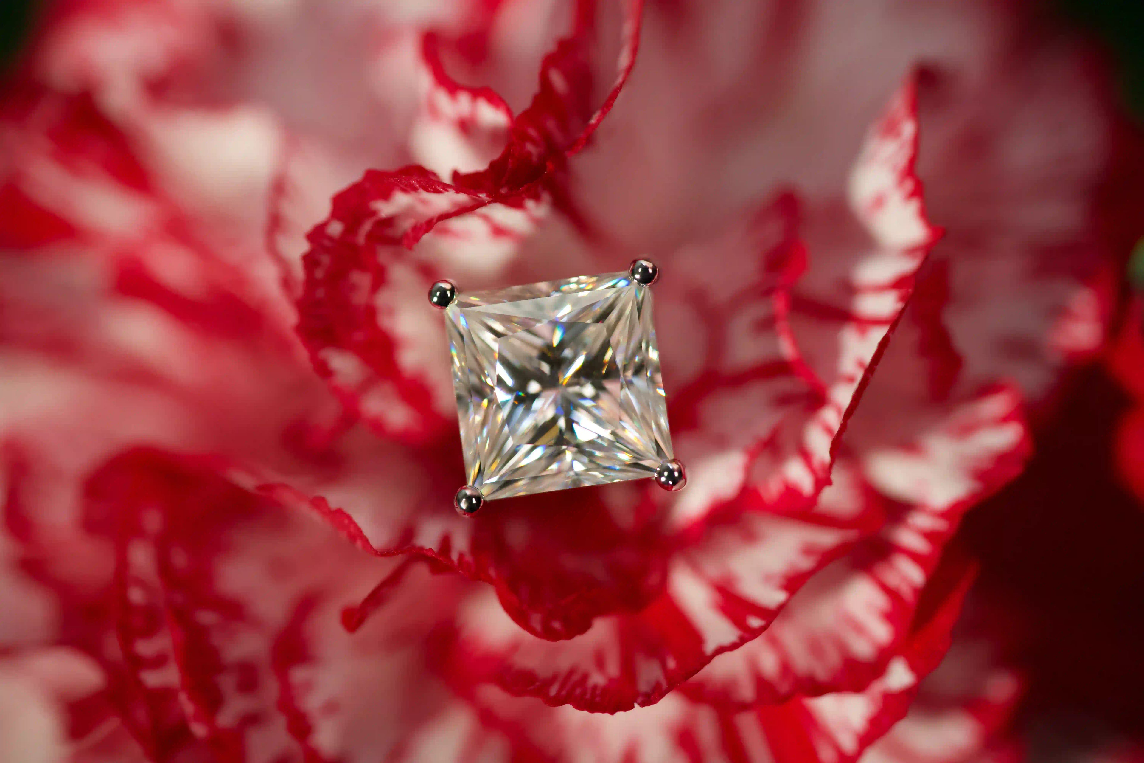 Echte Fotos von Princess Cut Moissanite Ohrsteckern auf roter Blume im echten Licht. Funkelt stärker als Diamanten, mit diamantähnlicher Härte langlebig im Alltag und in verschiedenen Größen erhältlich.