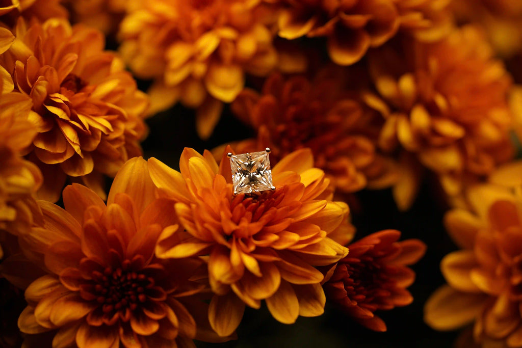 Quadratische Moissanite Schmuck Ohrstecker so eckig wie ein Würfel und gefasst in Sterling Silber mit Weißgold