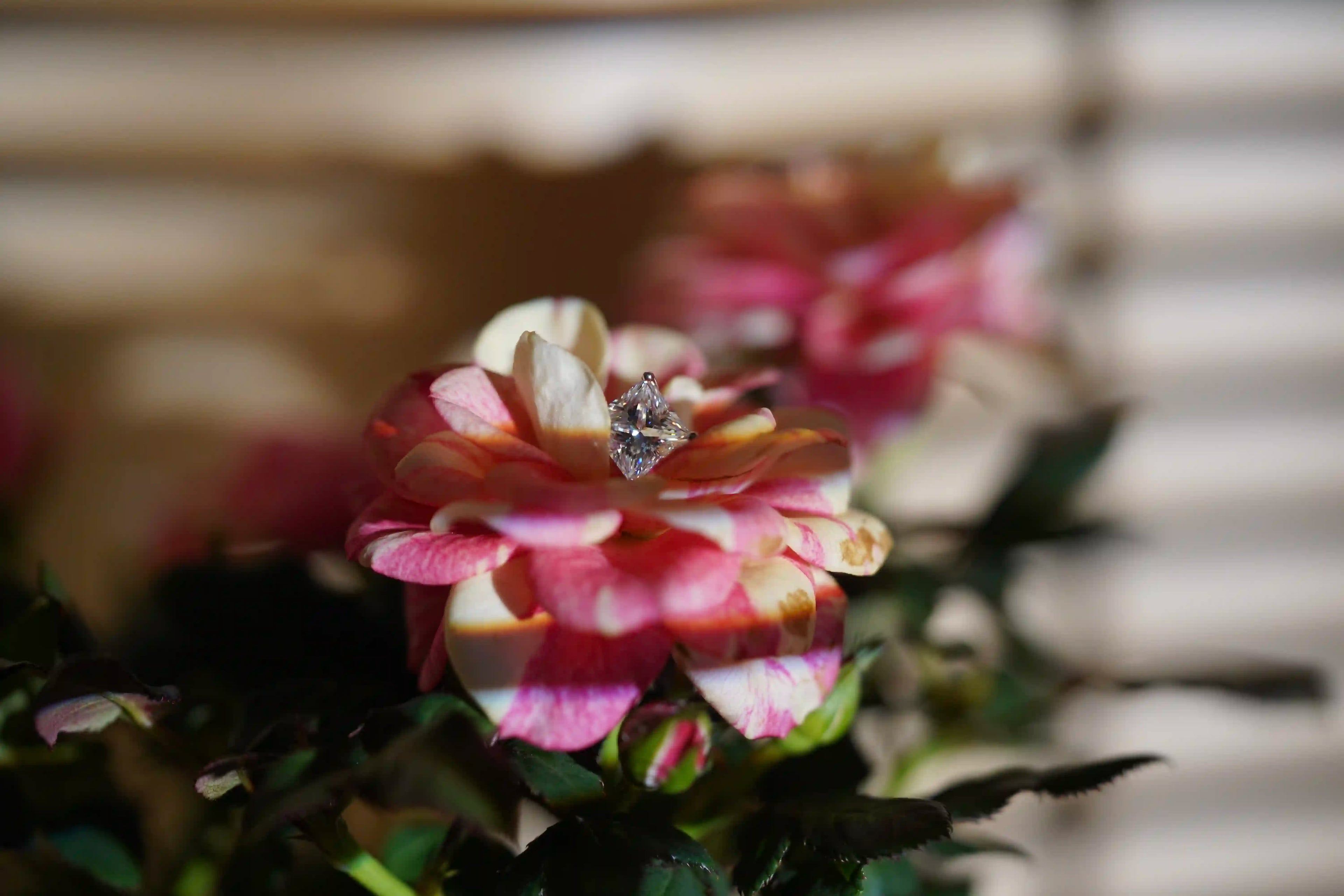 Prinzessinnen Schliff Moissanite Ohrstecker im Sonnenlicht funkelnd auf einer Blume abgelegt