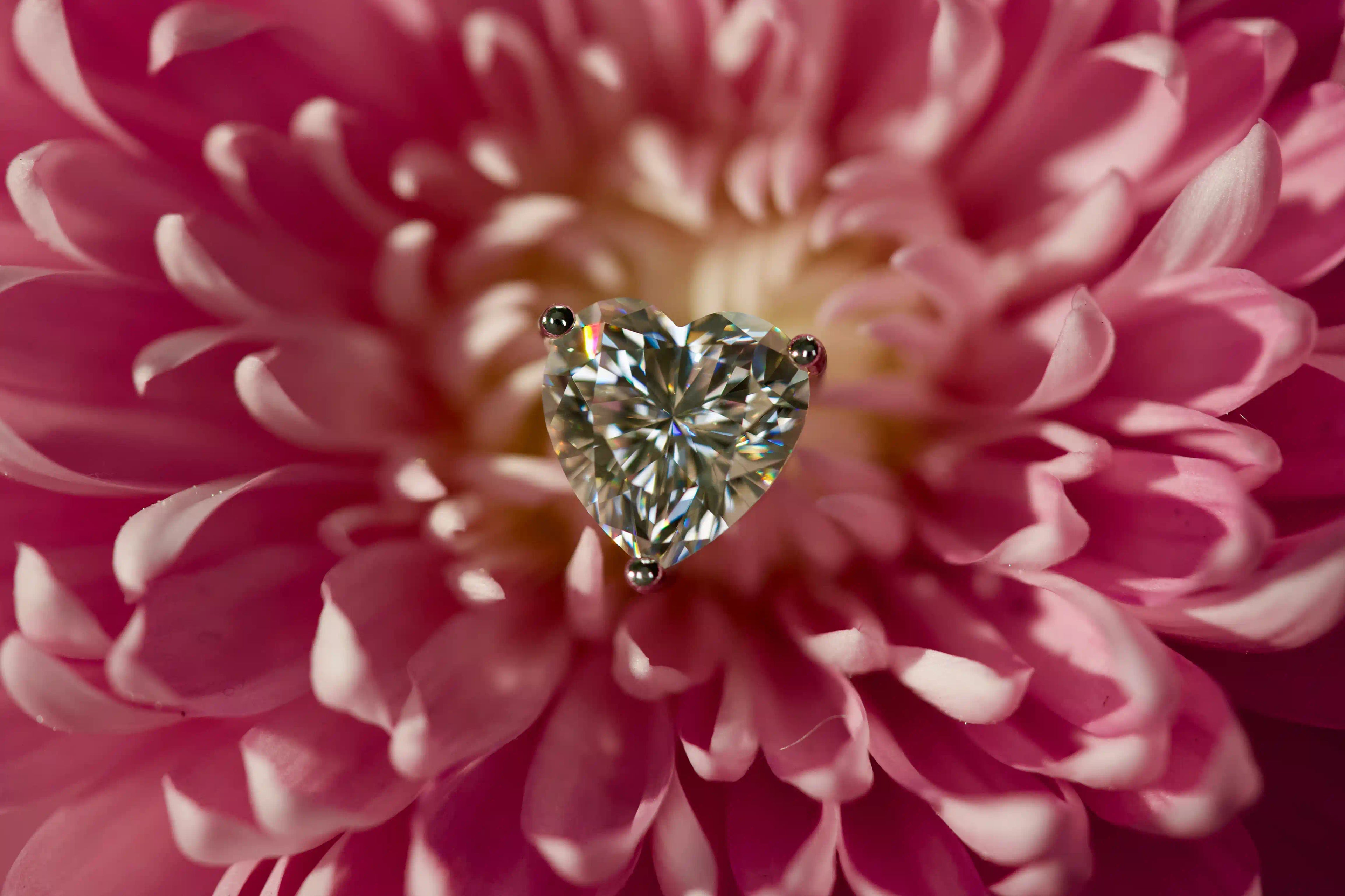 Romantische Herzschliff Moissanite Ohrstecker als Geschenk für Frauen im echten Licht fotografiert – extrem starkes Funkeln stärker als Diamant auf rosa Blüte.